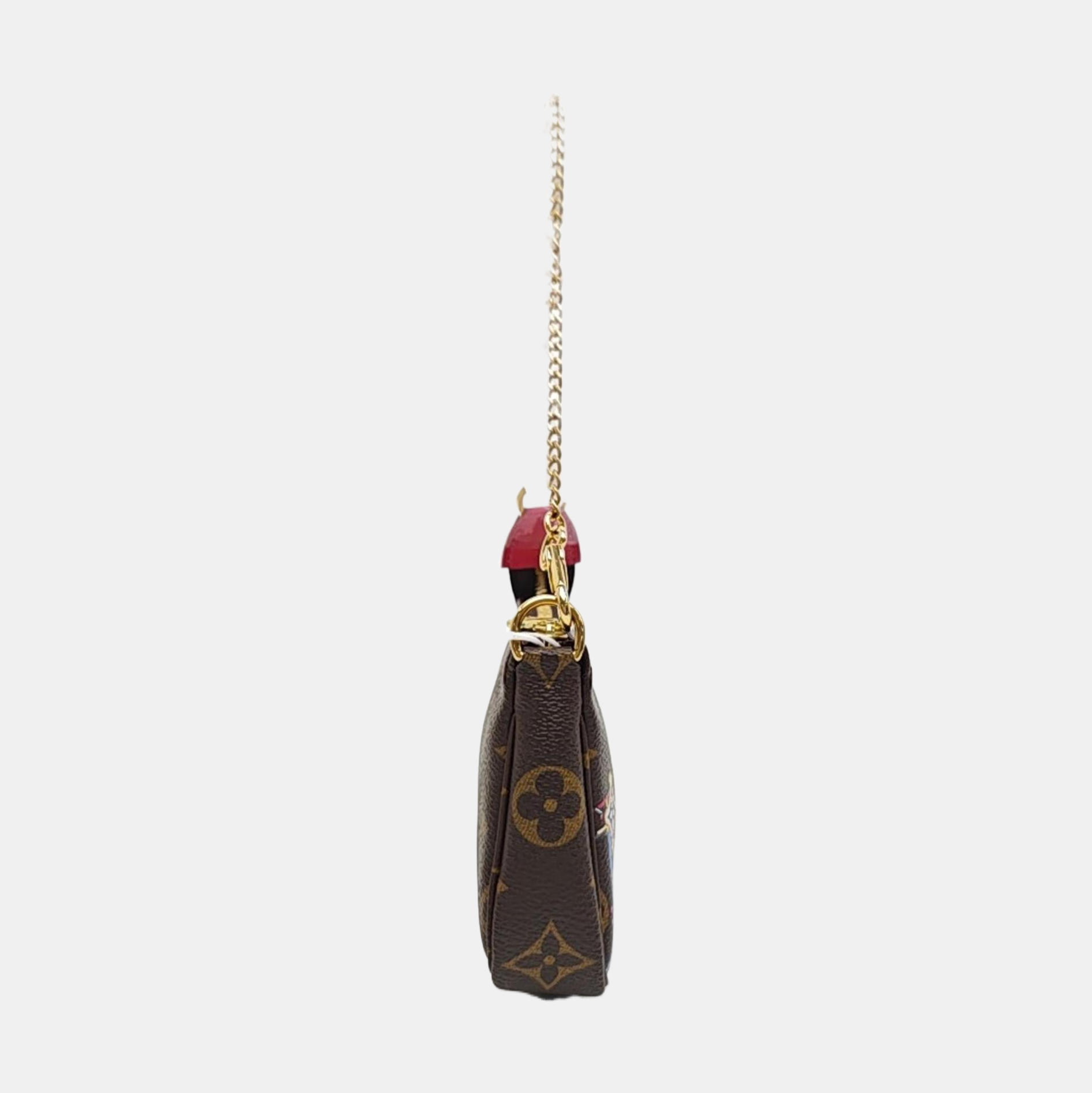 ACCESORIOS Lona recubierta Mini Monogram marrón