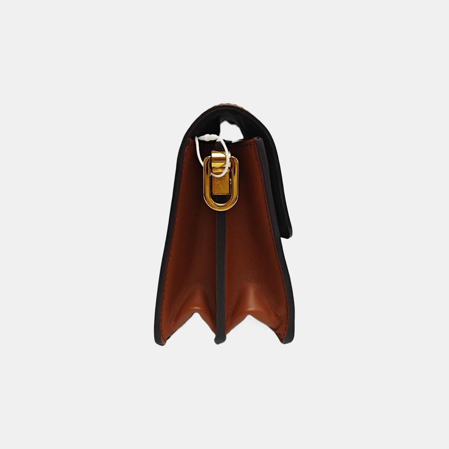 DAUPHINE Mini Monogram Coated Canvas Brown