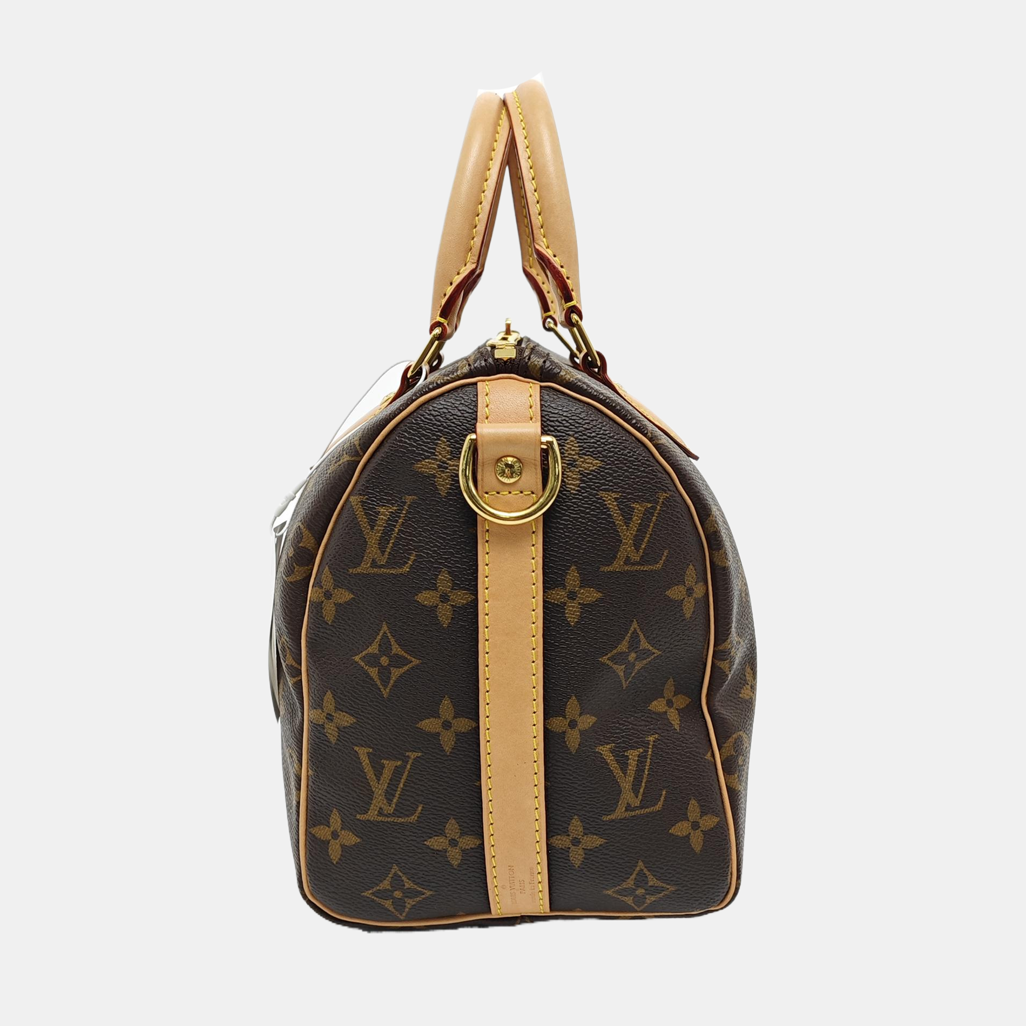 SPEEDY 25 Monogram Coated Canvas Brown