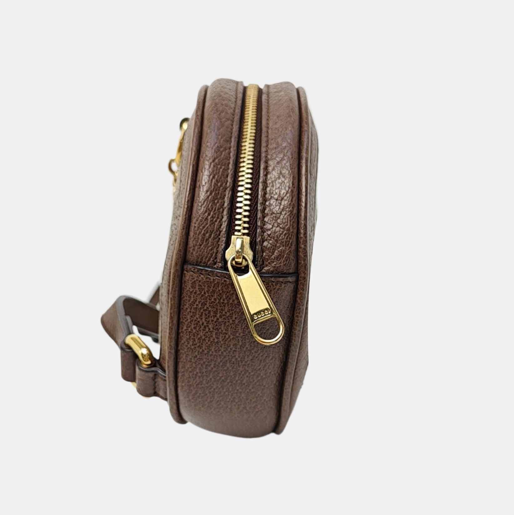 Ophidia Mini Monogram Coated Canvas Beige