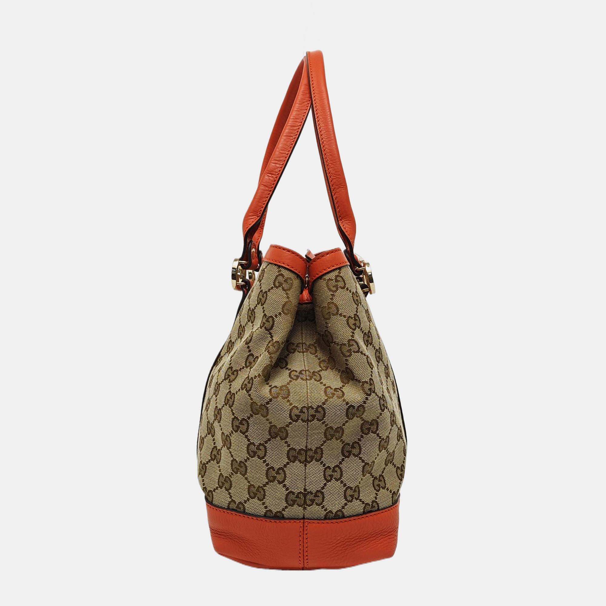 Miss GG Monogram Canvas Brown