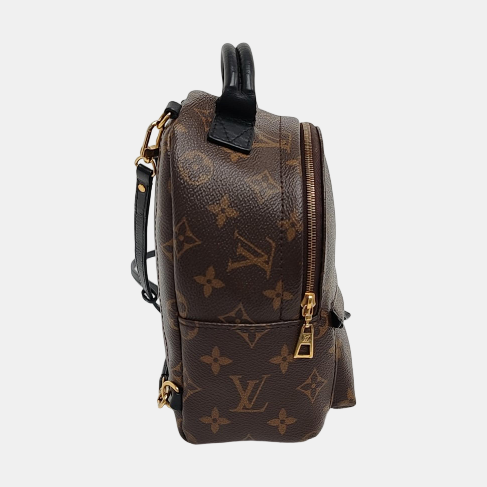 PALM SPRINGS Mini Monogram Coated Canvas Brown