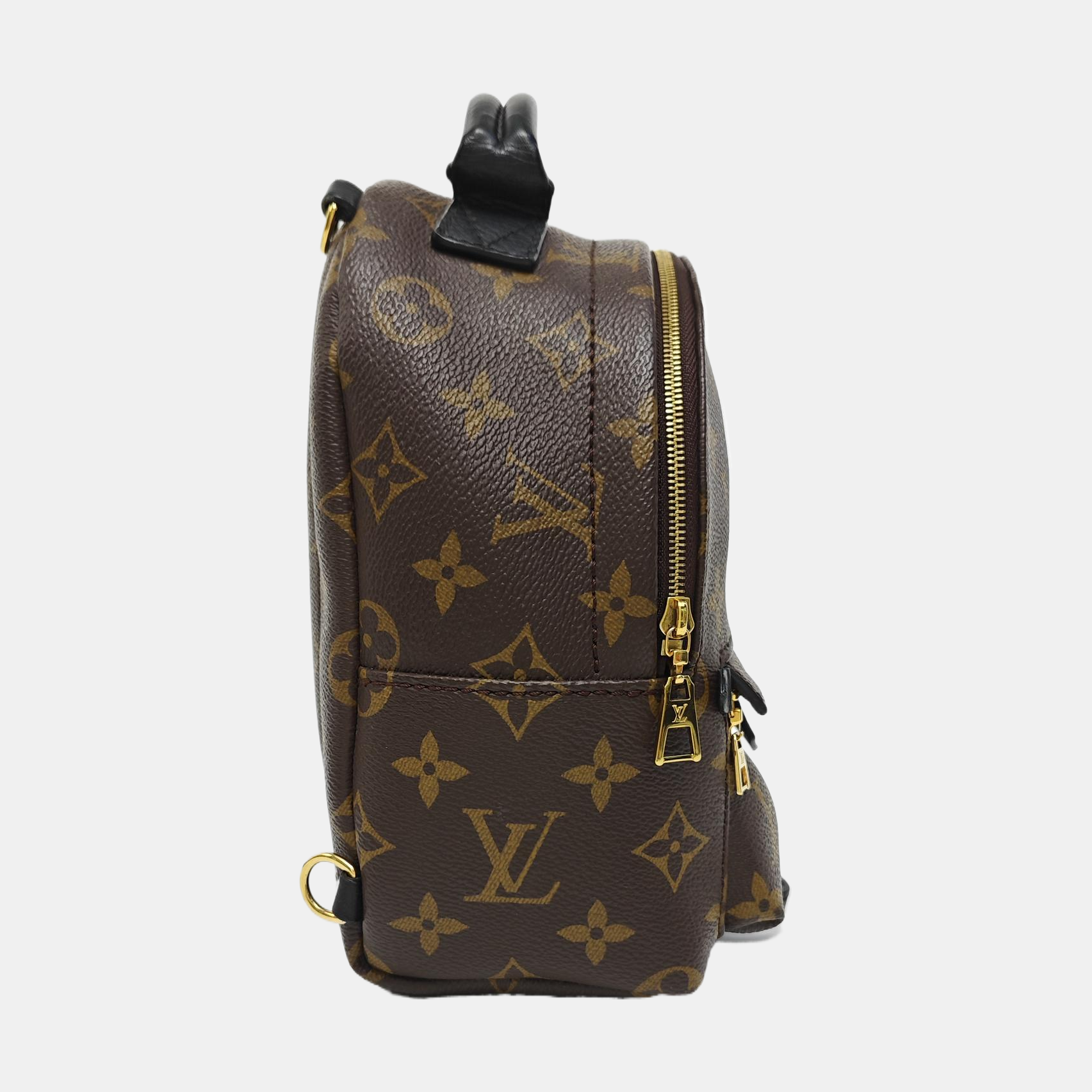 PALM SPRINGS Mini Monogram Coated Canvas Brown
