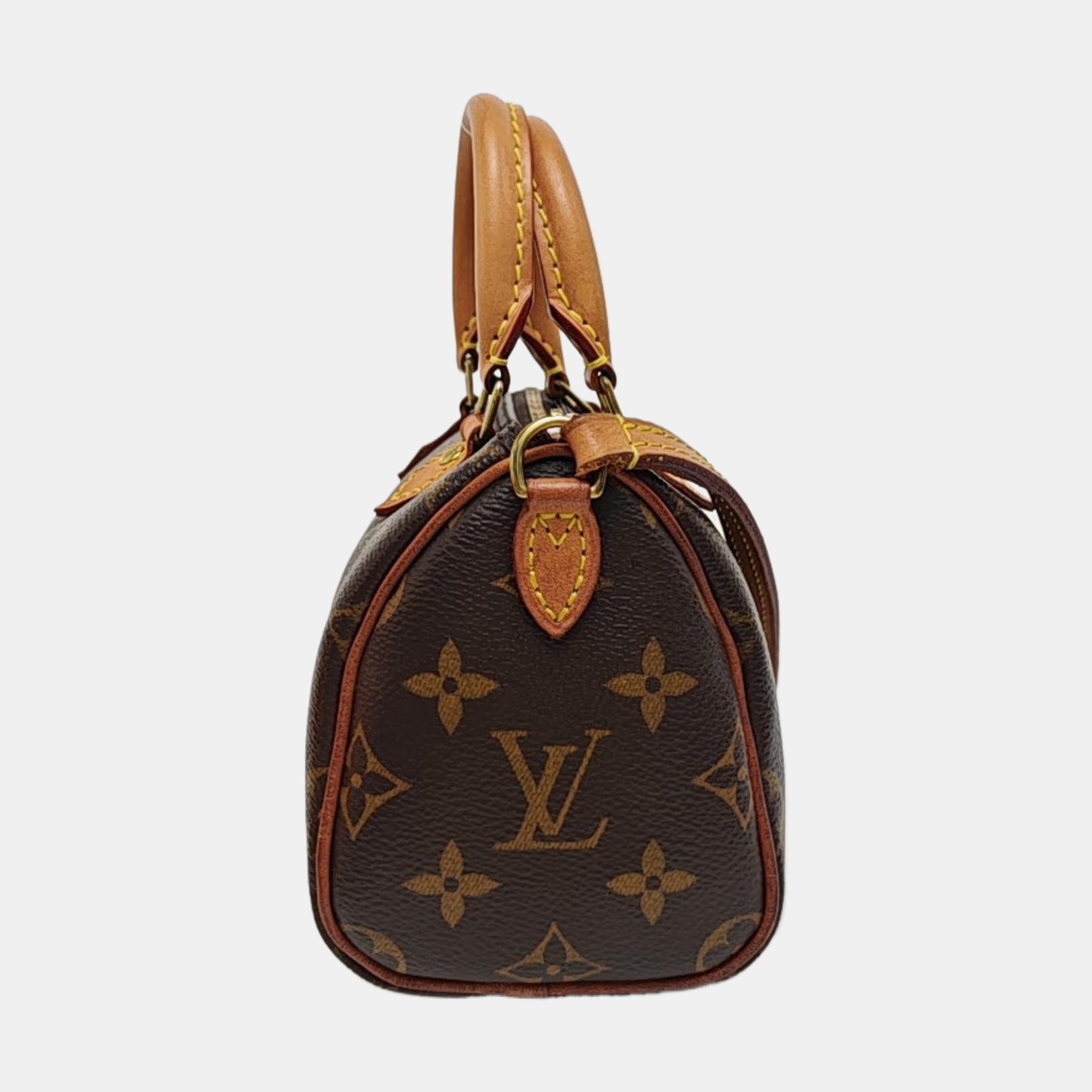 SPEEDY Nano Monogram Coated Canvas Brown