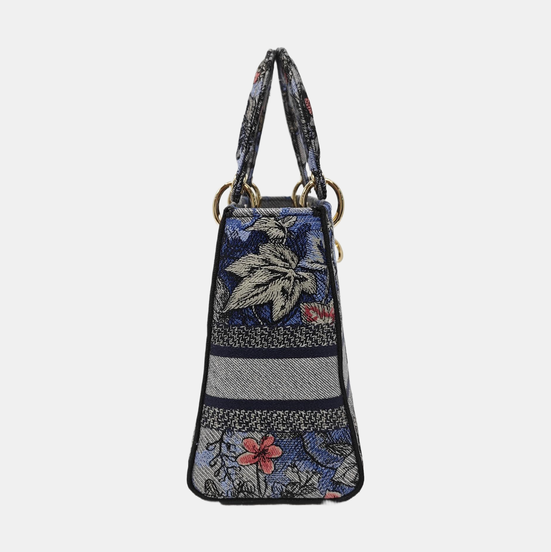 Authenticated pre-owned  Lady D-Lite Medium Canvas Multicolor - Shoulder Bag at Looply