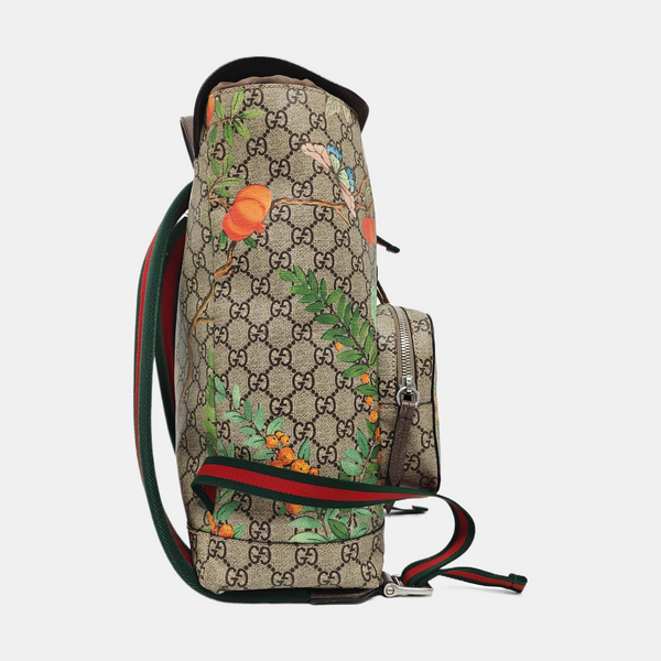 Tian Monogram Coated Canvas Brown