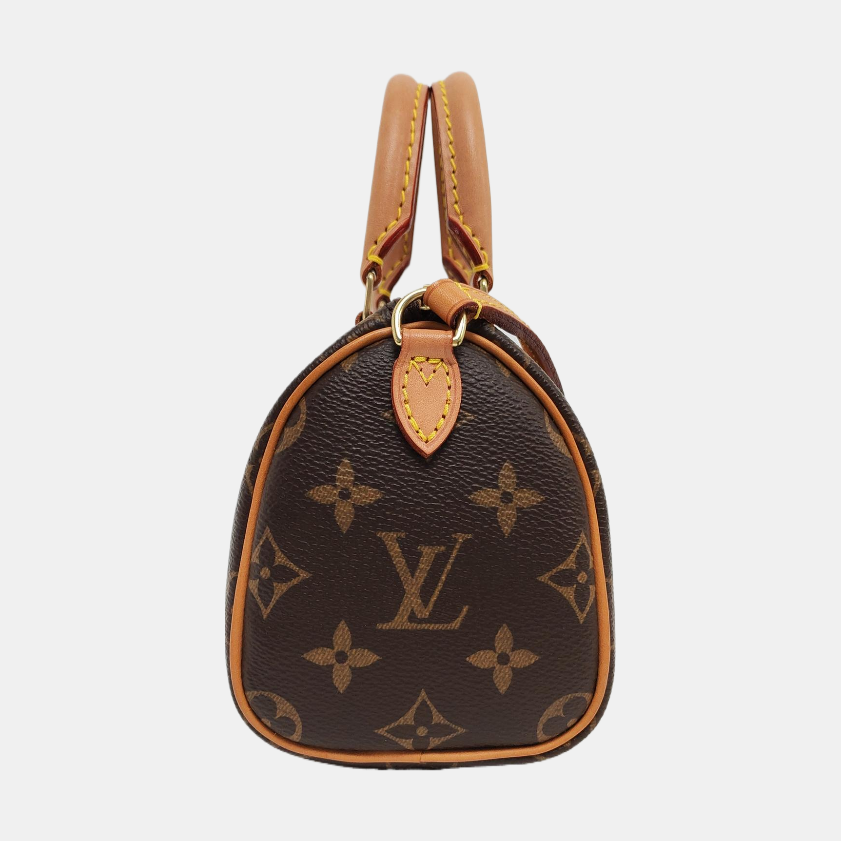 SPEEDY Nano Monogram Coated Canvas Brown