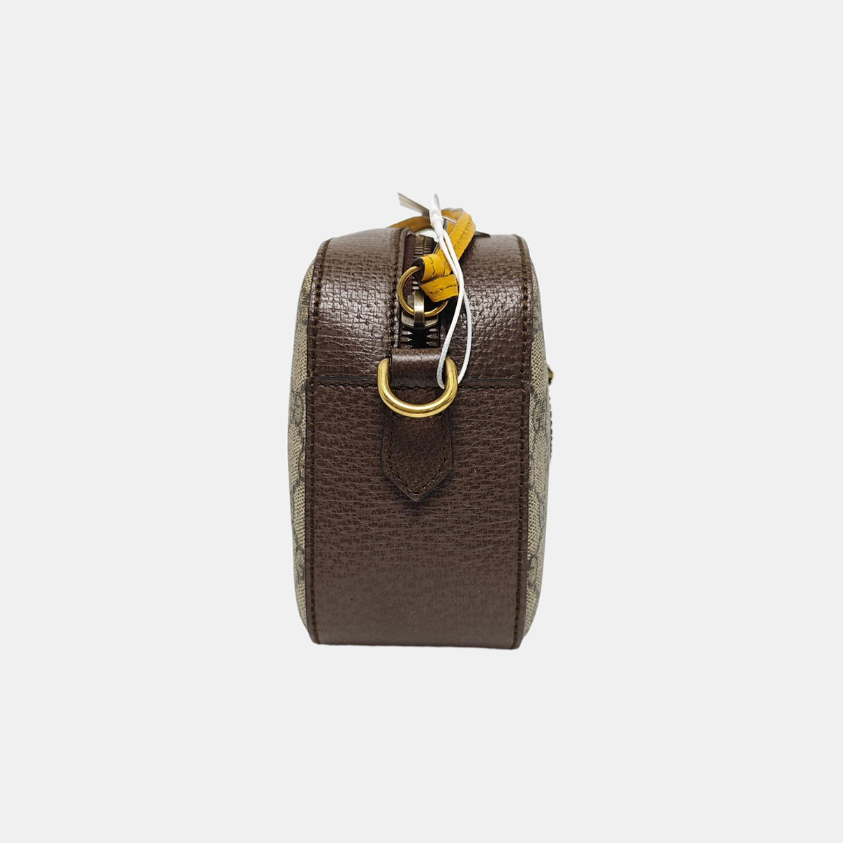 Neo Vintage Monogram Coated Canvas Beige