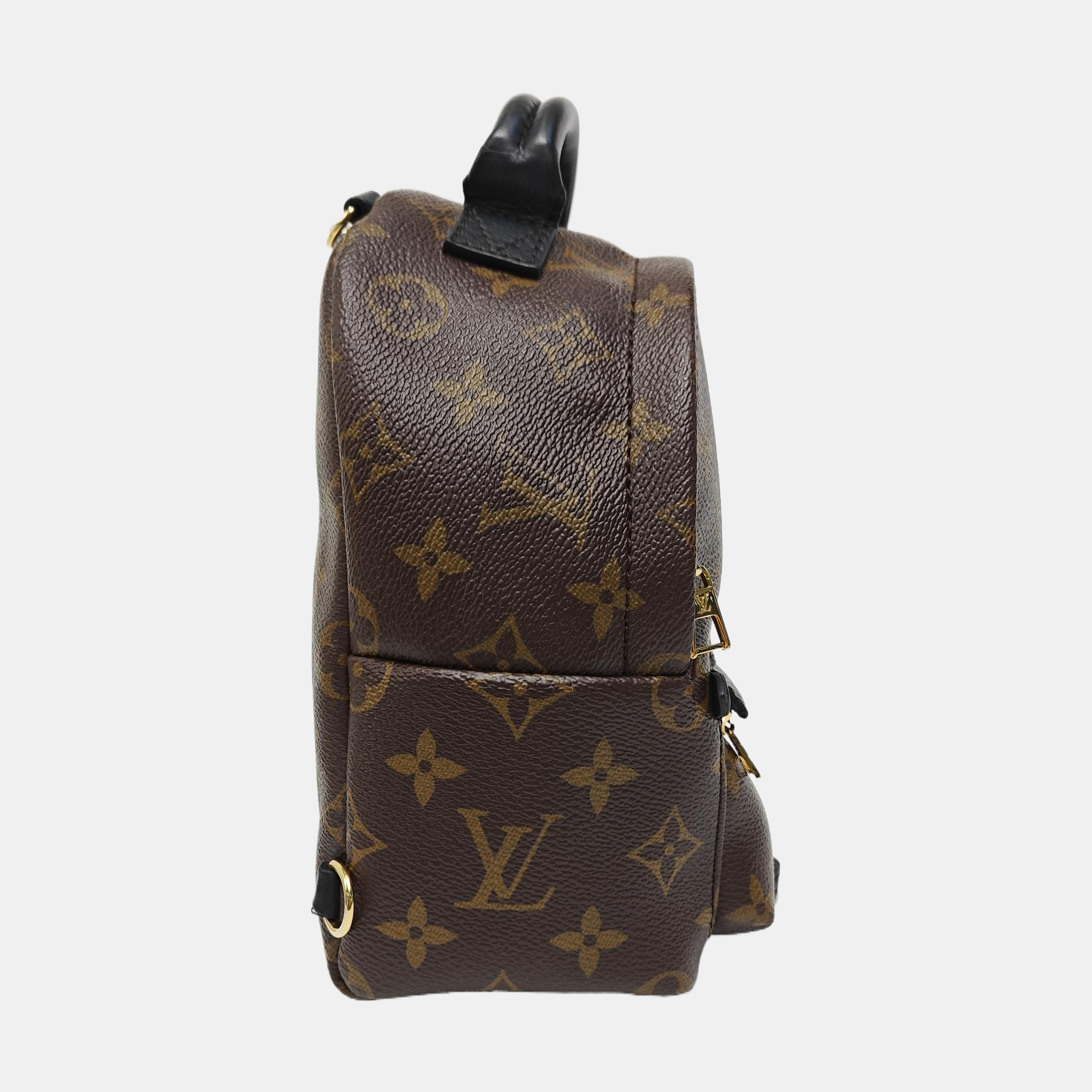 PALM SPRINGS Mini Monogram Coated Canvas Brown