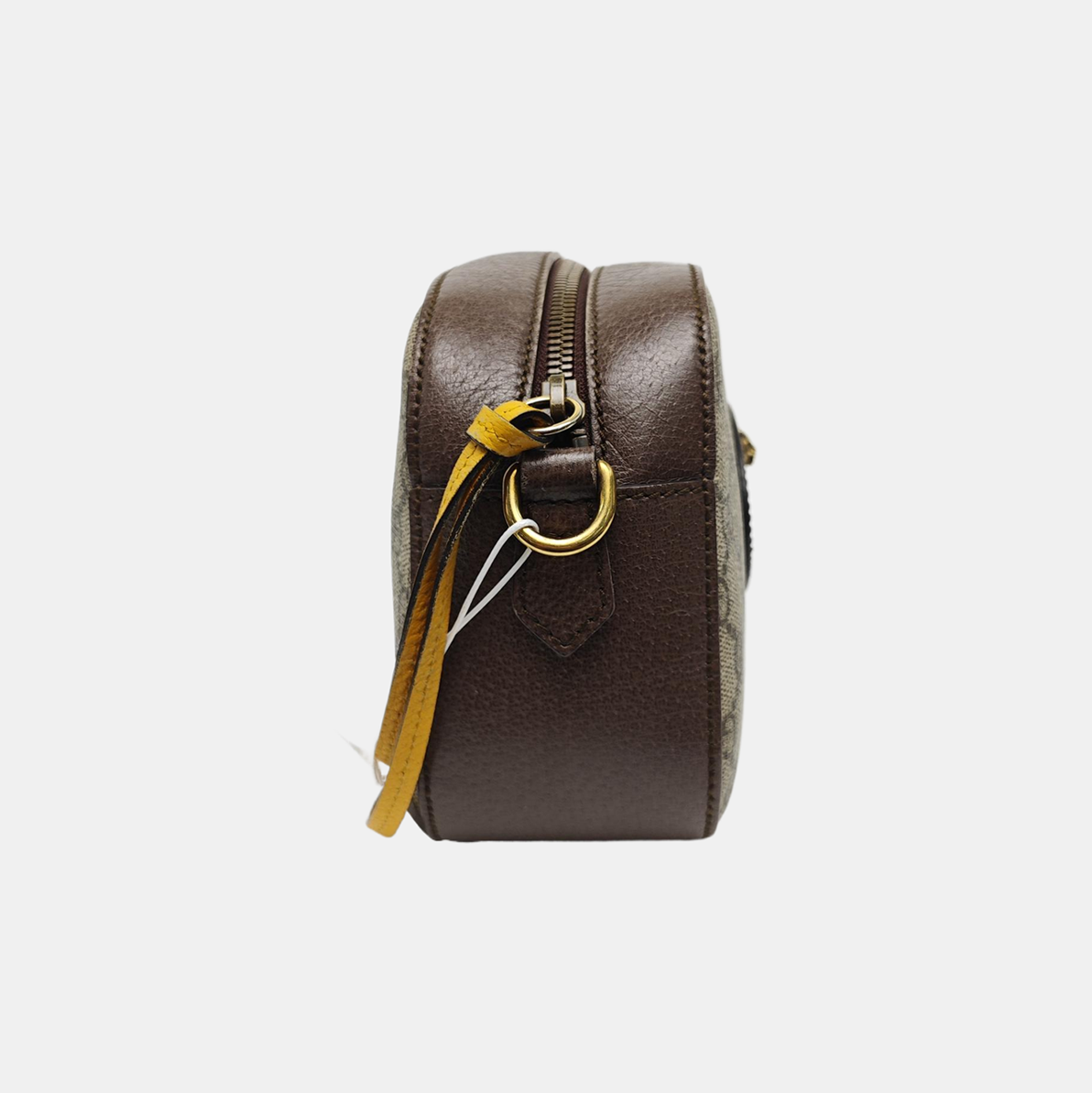 Neo Vintage Monogram Coated Canvas Beige