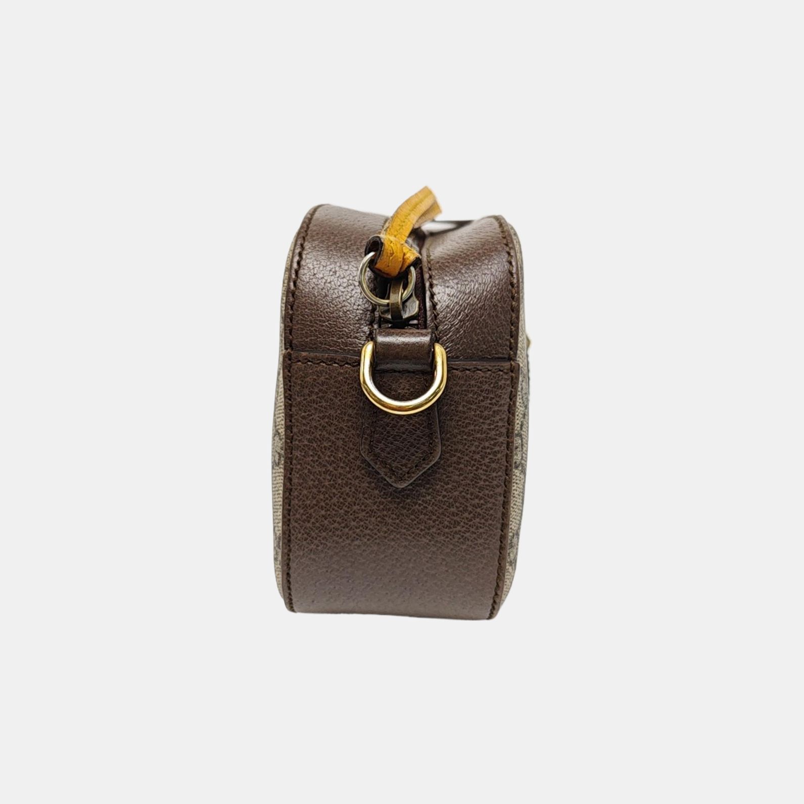 Neo Vintage Monogram Coated Canvas Beige