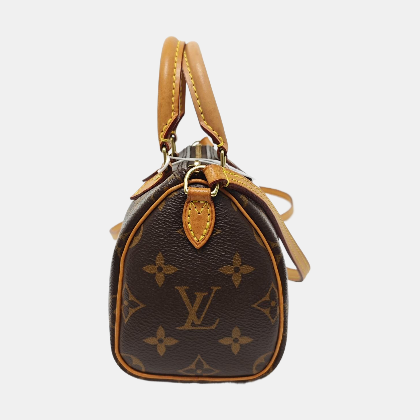 SPEEDY Nano Monogram Coated Canvas Brown