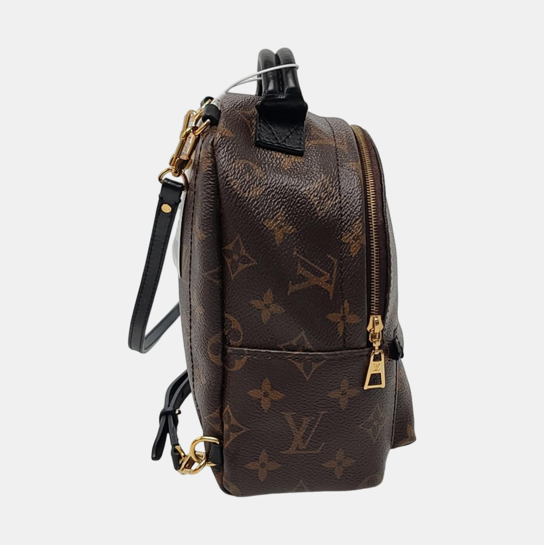 PALM SPRINGS Mini Monogram Coated Canvas Brown