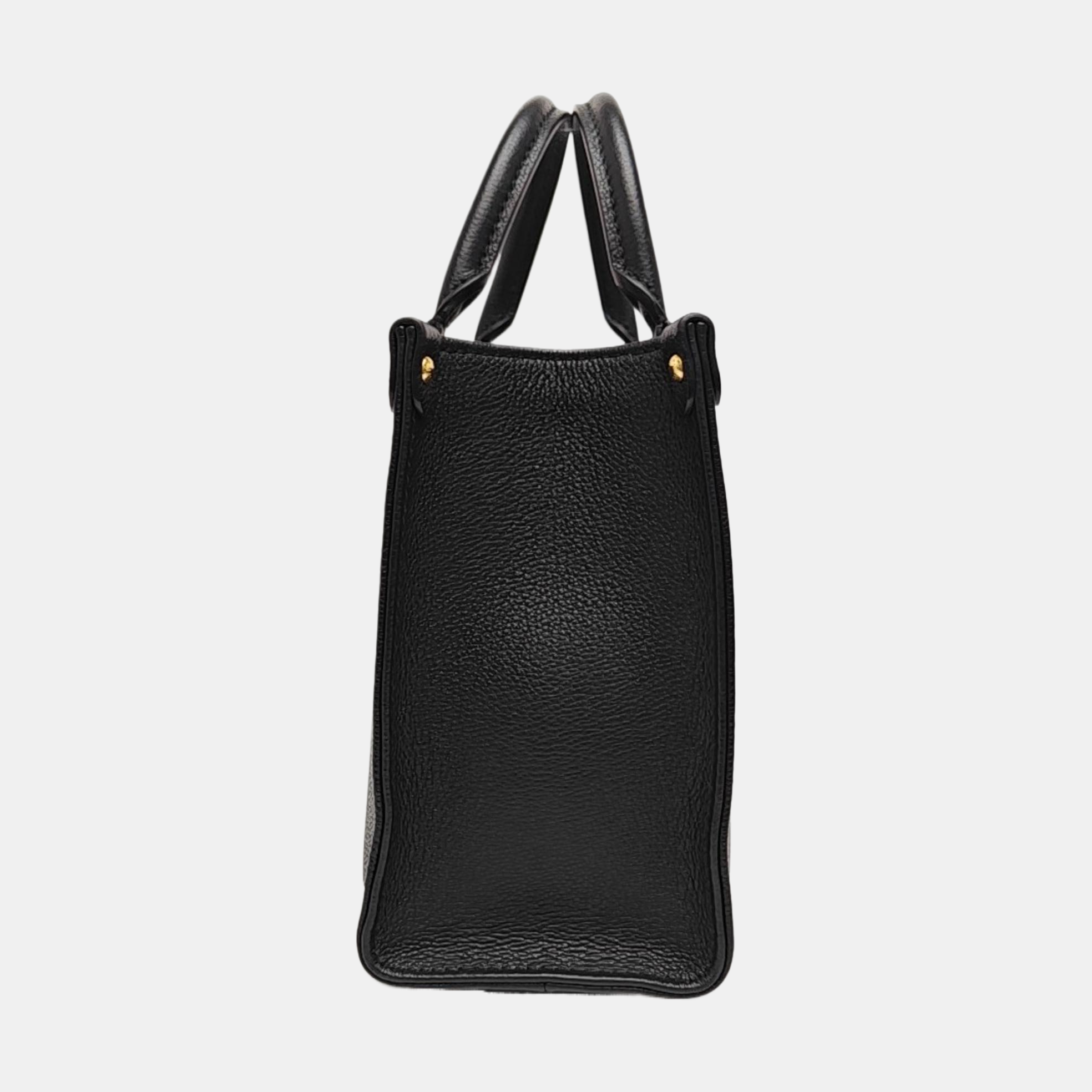 ONTHEGO PM Calfskin Black