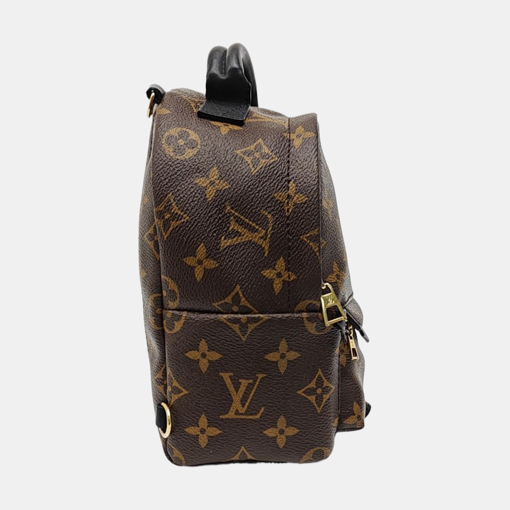 PALM SPRINGS Mini Monogram Coated Canvas Brown