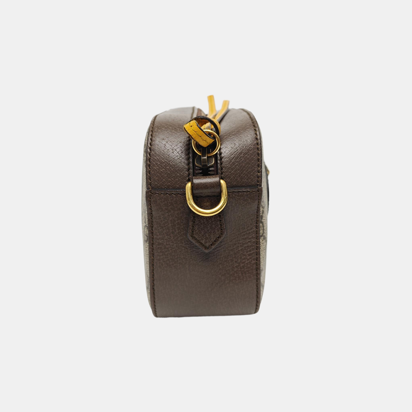 Neo Vintage Monogram Coated Canvas Beige