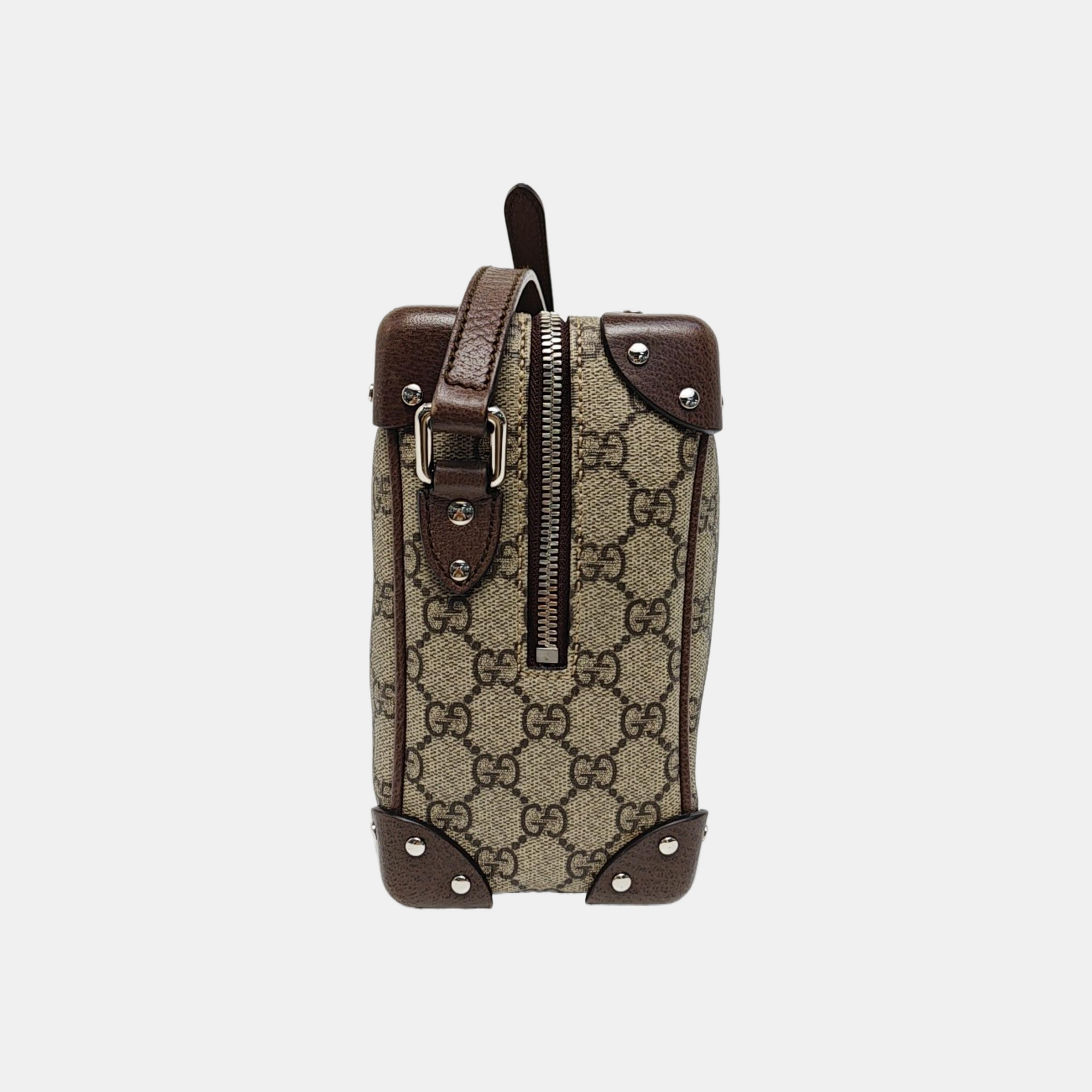 Trunk Monogram Coated Canvas Brown
