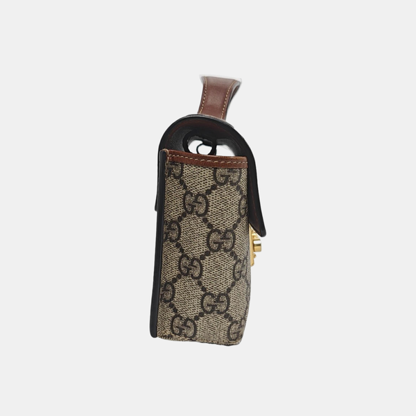 Padlock Mini Monogram Coated Canvas Multicolor