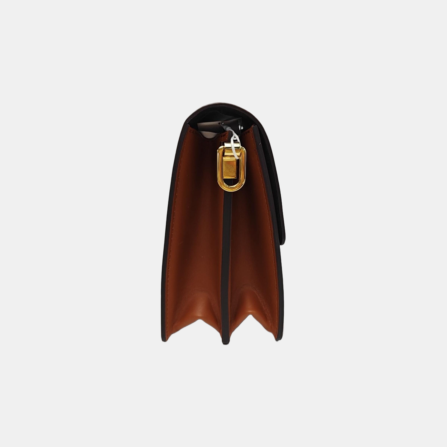 DAUPHINE MM Monogram Coated Canvas Brown