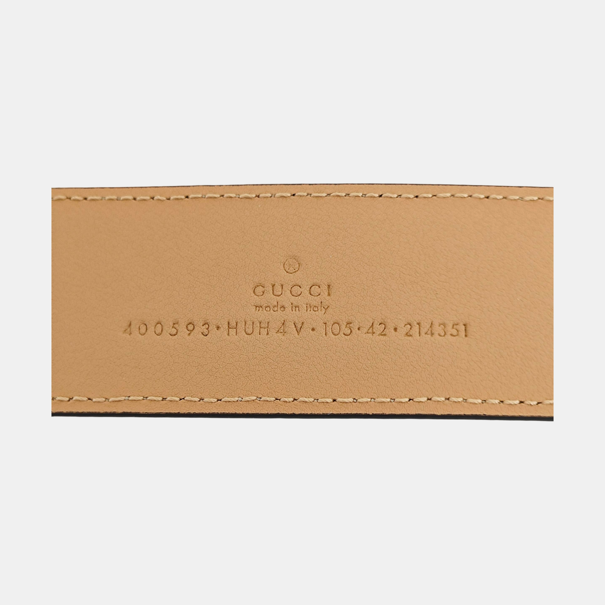 Coated Canvas Belt Beige