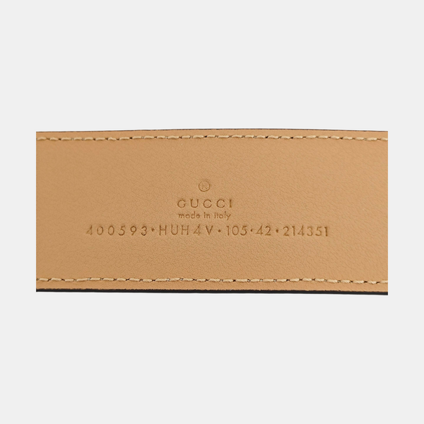 Coated Canvas Belt Beige
