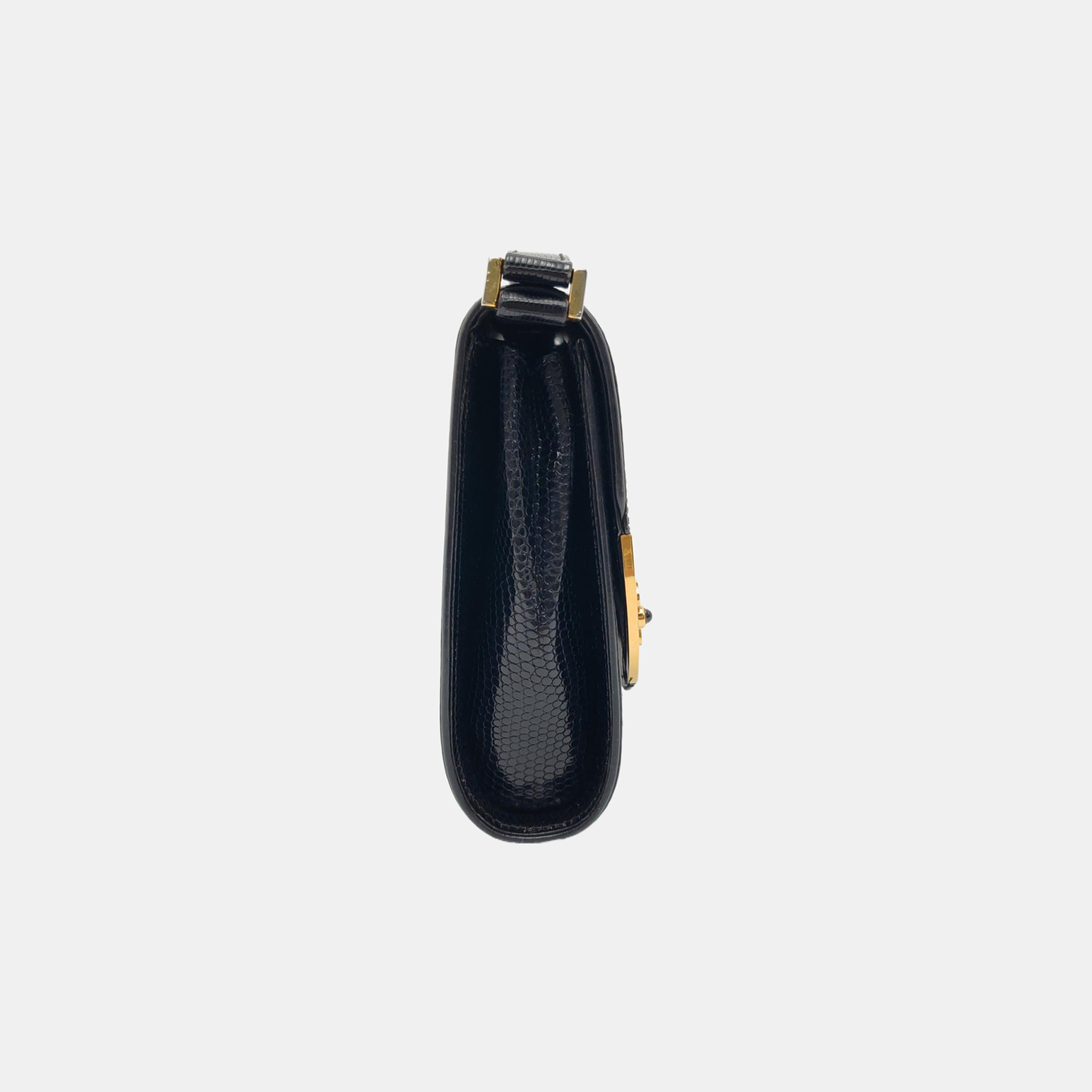 Lizard Black