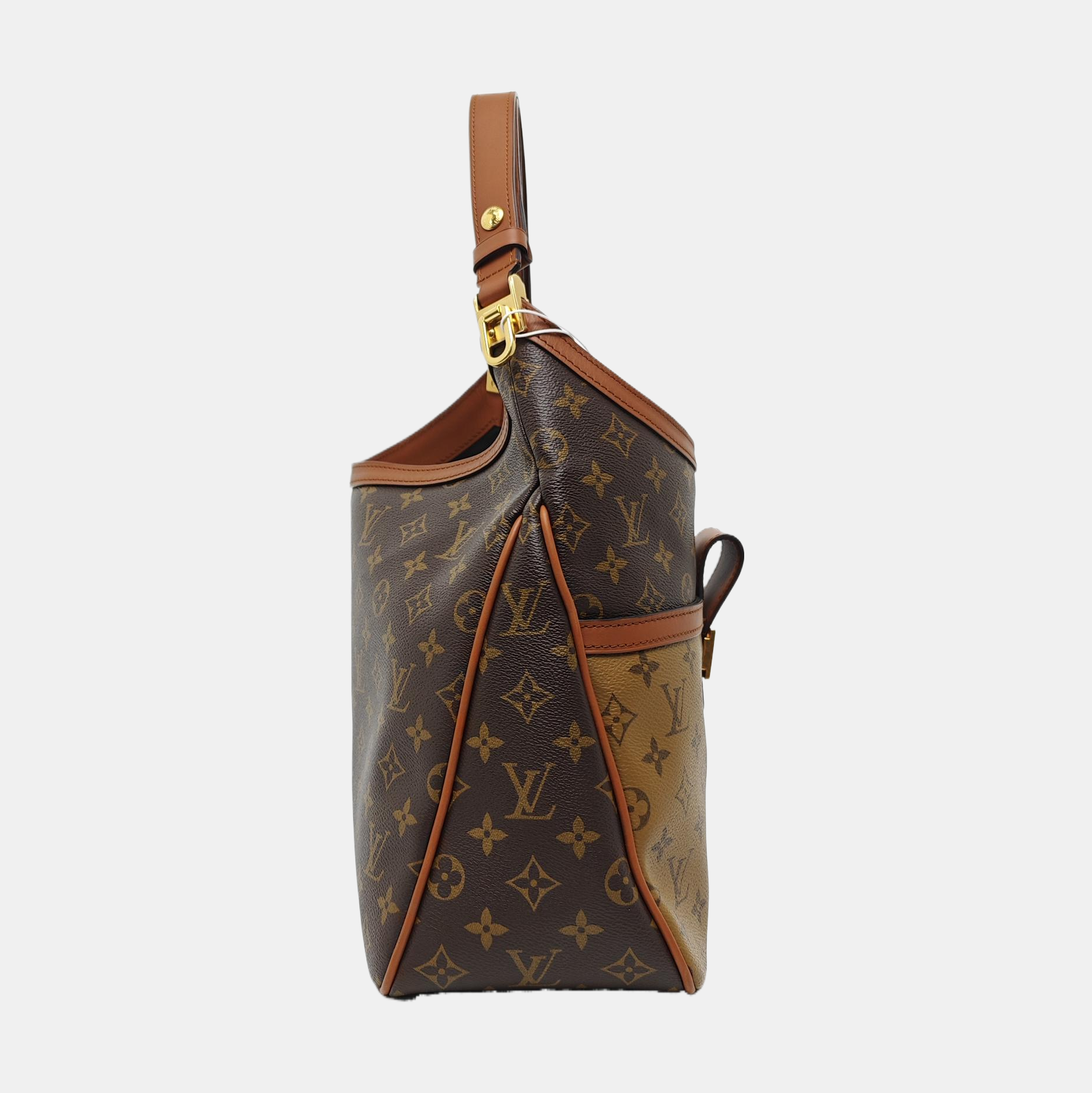 DAUPHINE MM Monogram Coated Canvas Brown