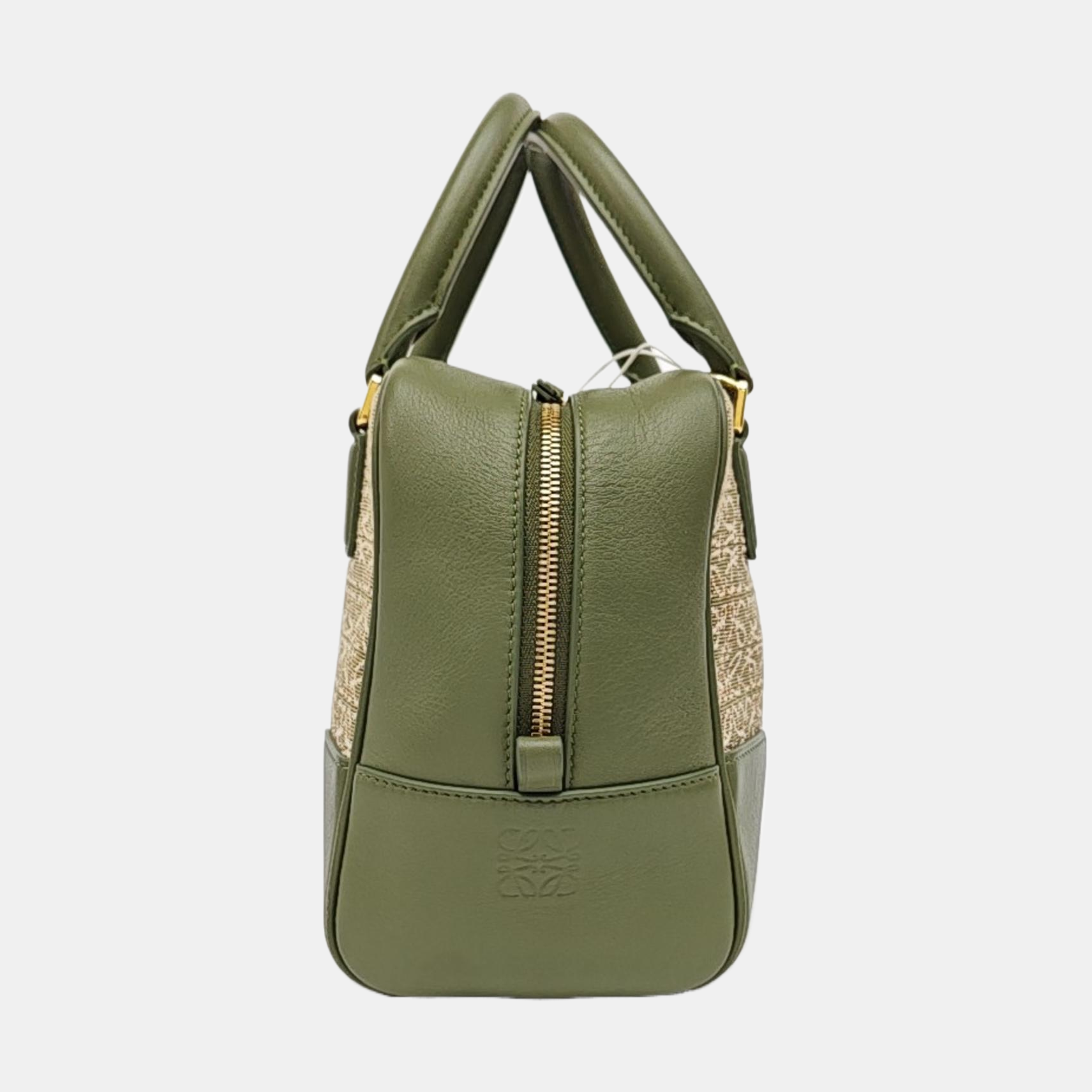 Amazona 19 Monogram Canvas Green