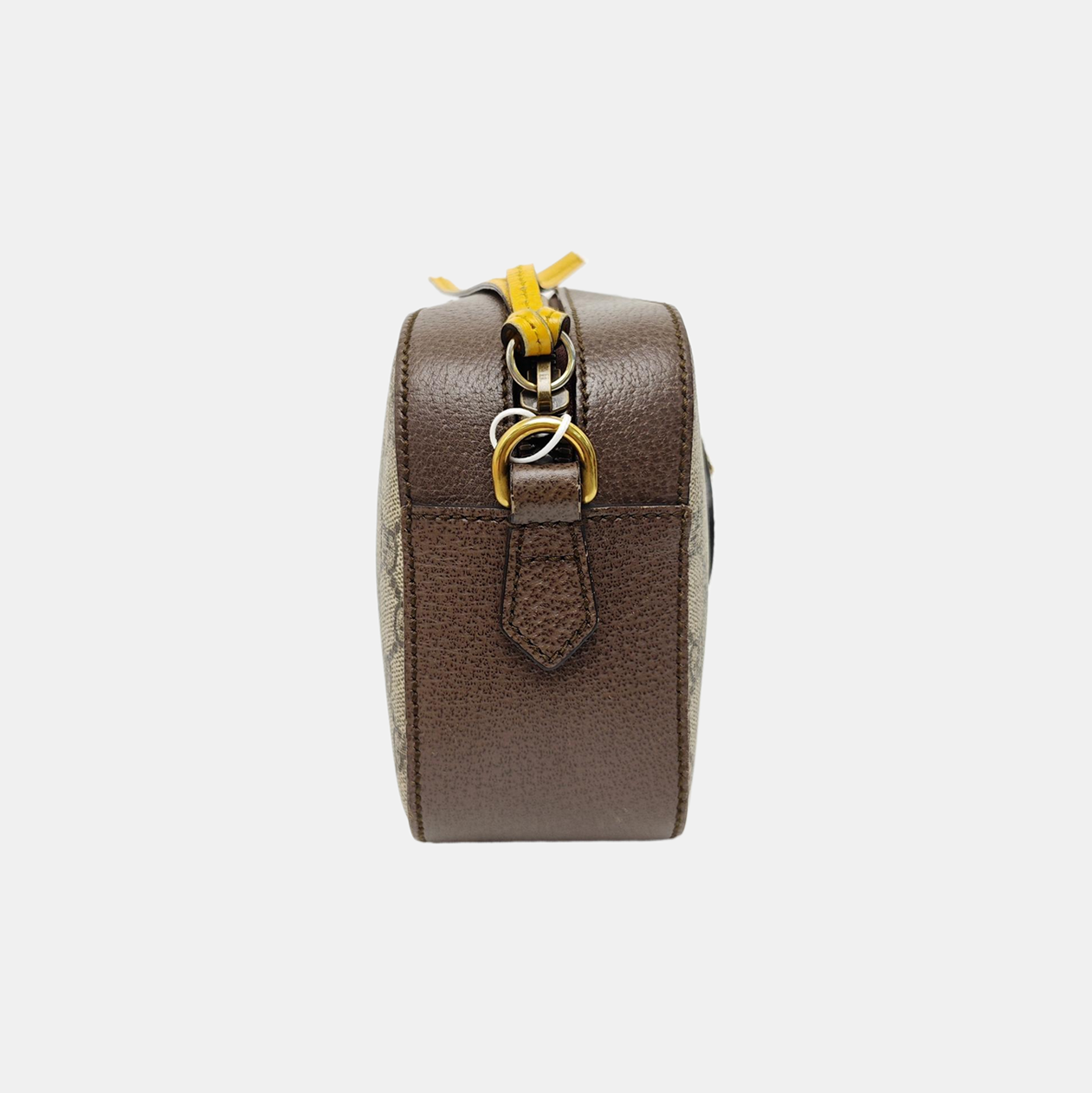 Neo Vintage Monogram Coated Canvas Beige