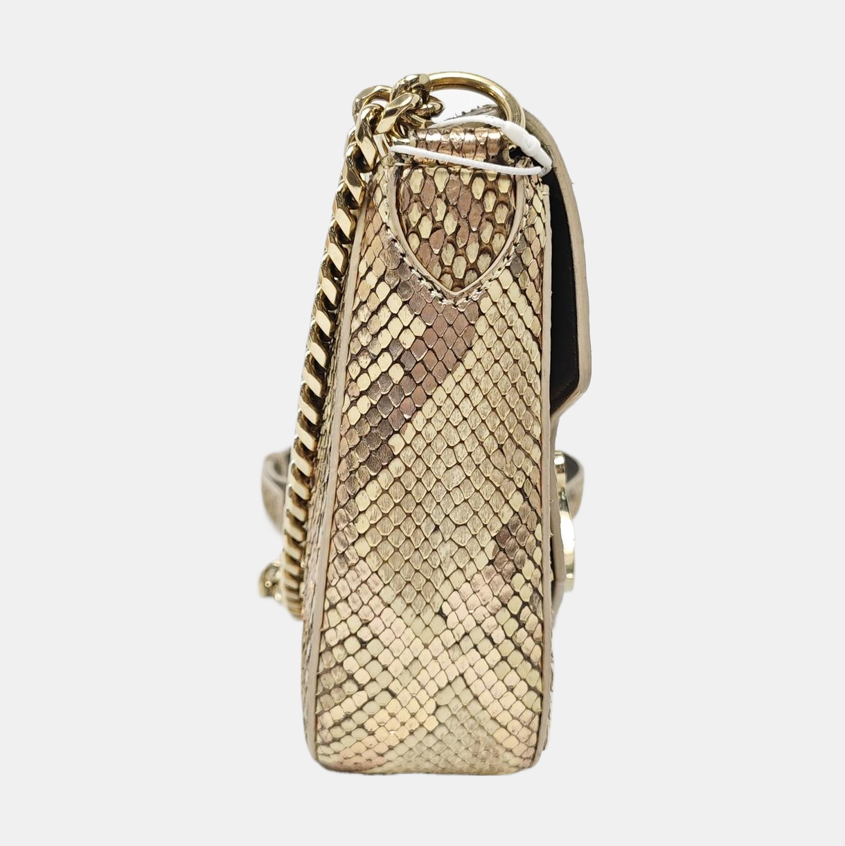 DIVAS' DREAM Python Multicolor