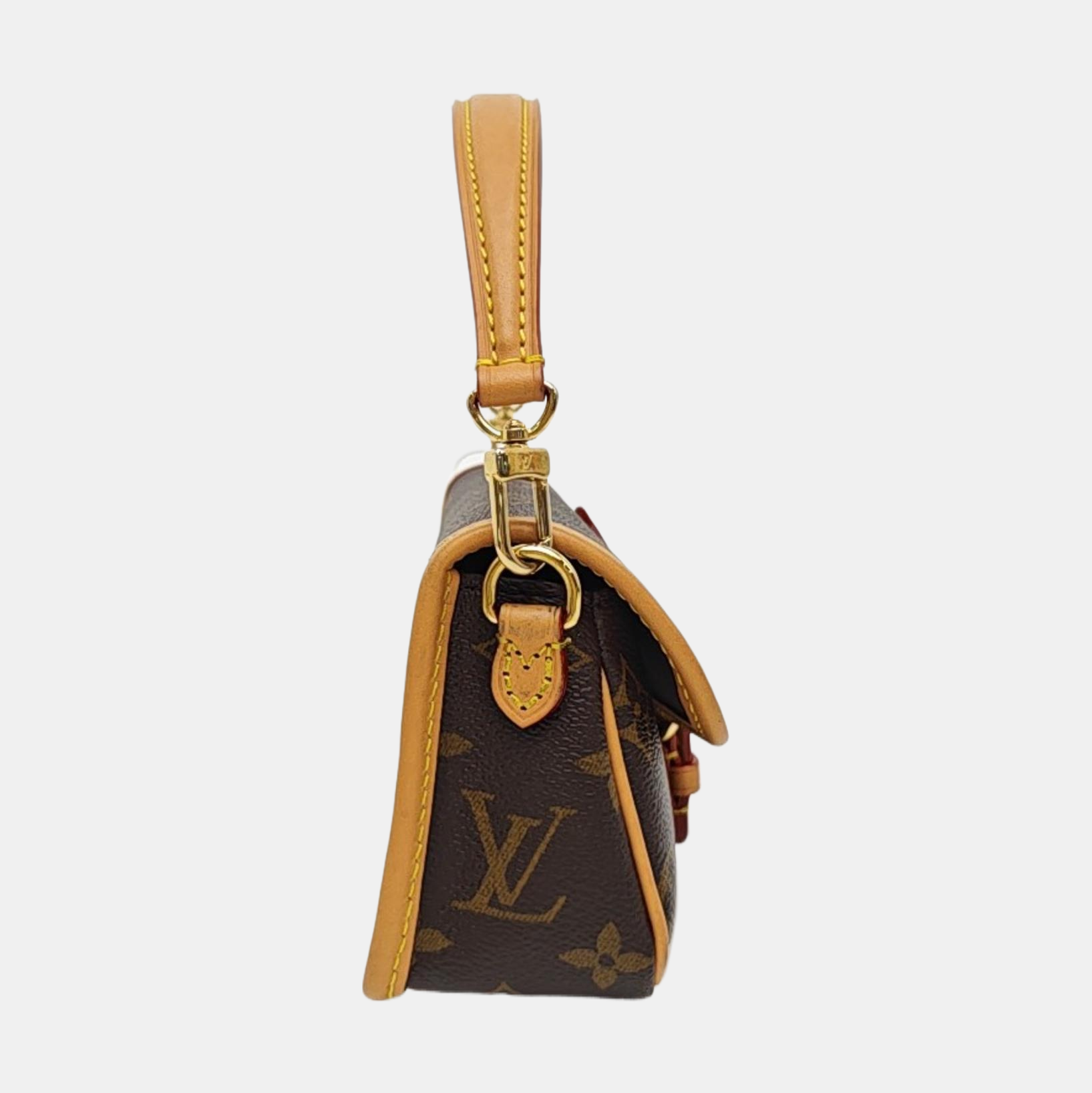 DIANE Nano Monogram Coated Canvas Brown