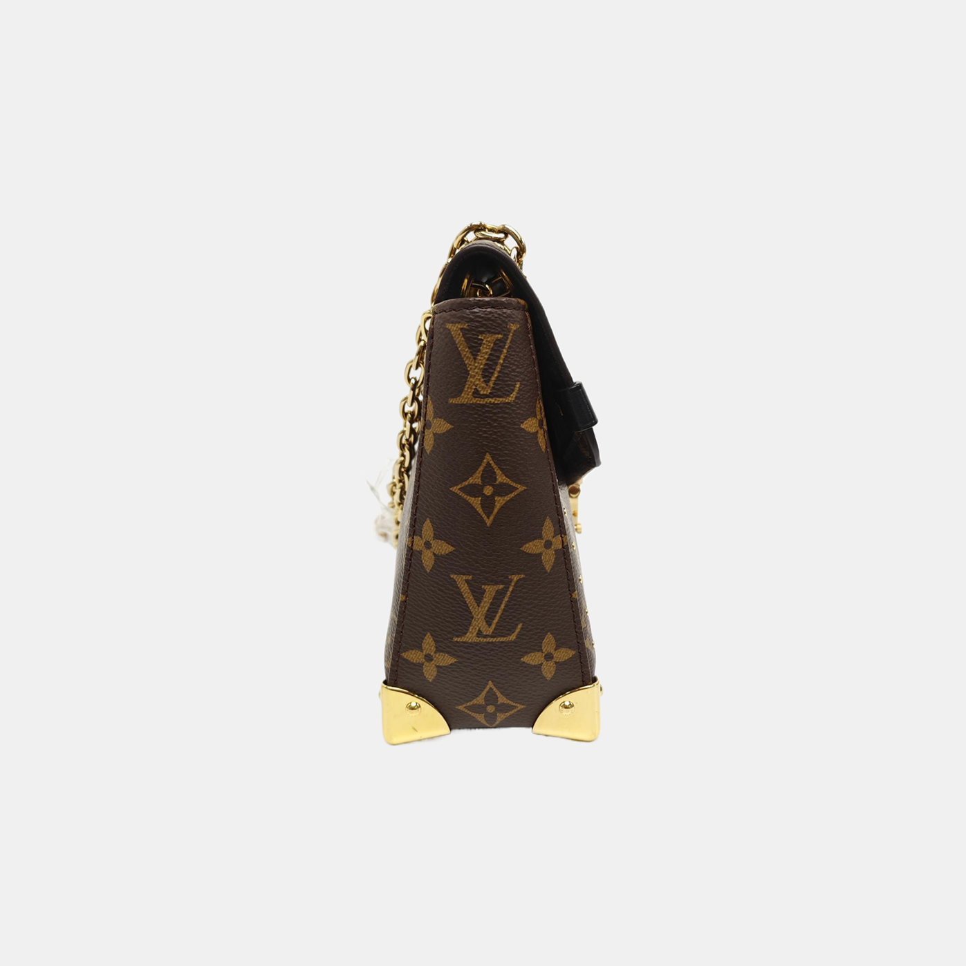 TRUNKIE Monogram Coated Canvas Brown