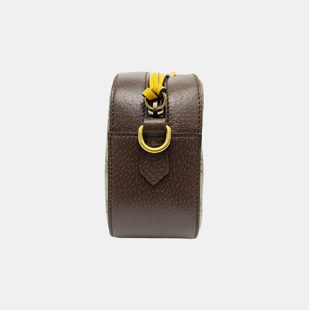 Neo Vintage Monogram Coated Canvas Beige