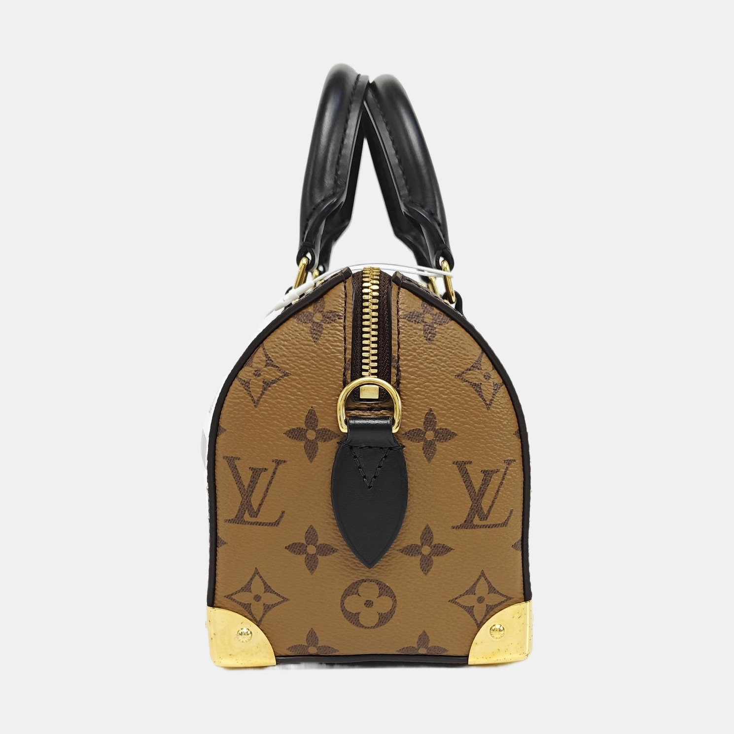 SPEEDY TRUNK 20 Monogram Coated Canvas Brown