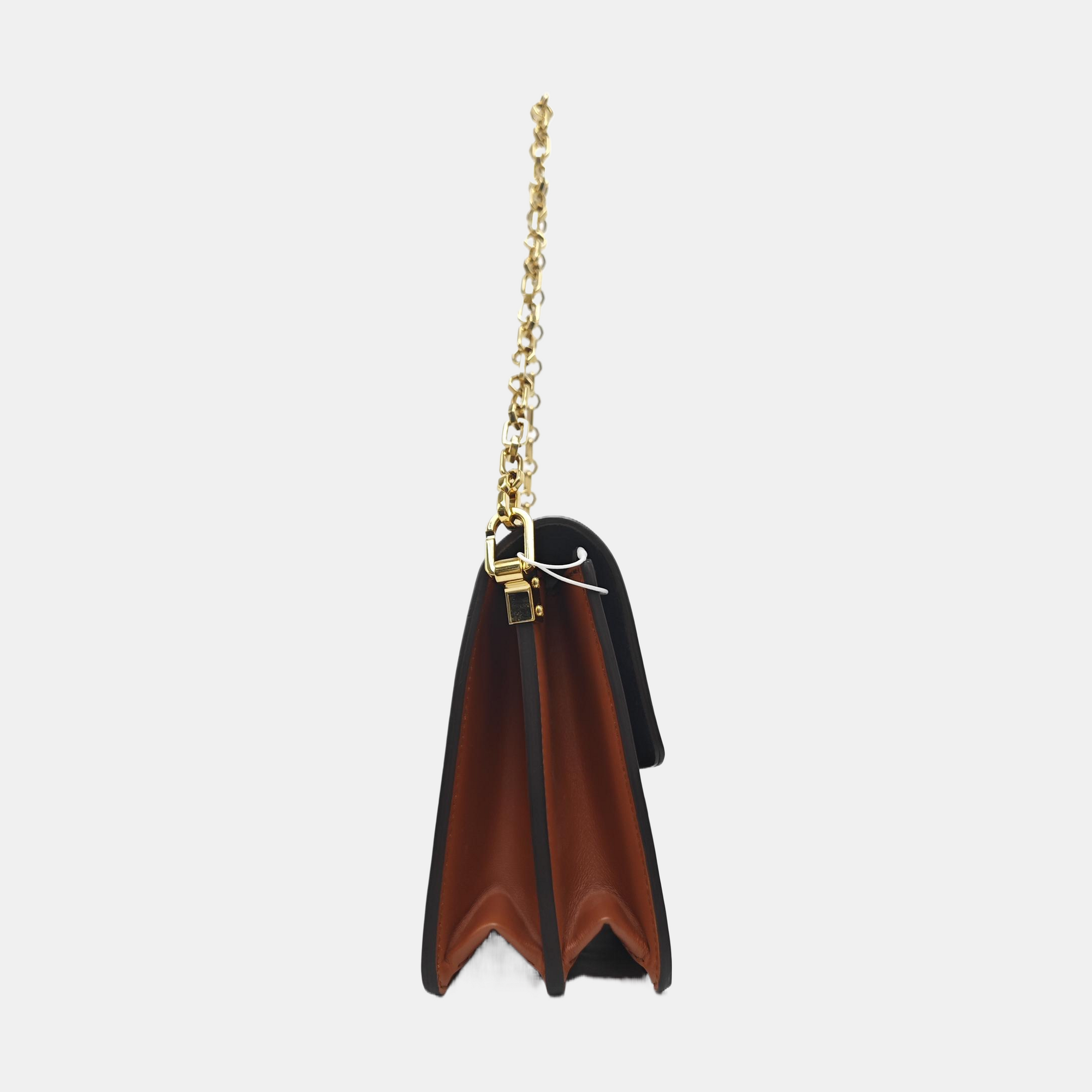 DAUPHINE MM Monogram Coated Canvas Brown