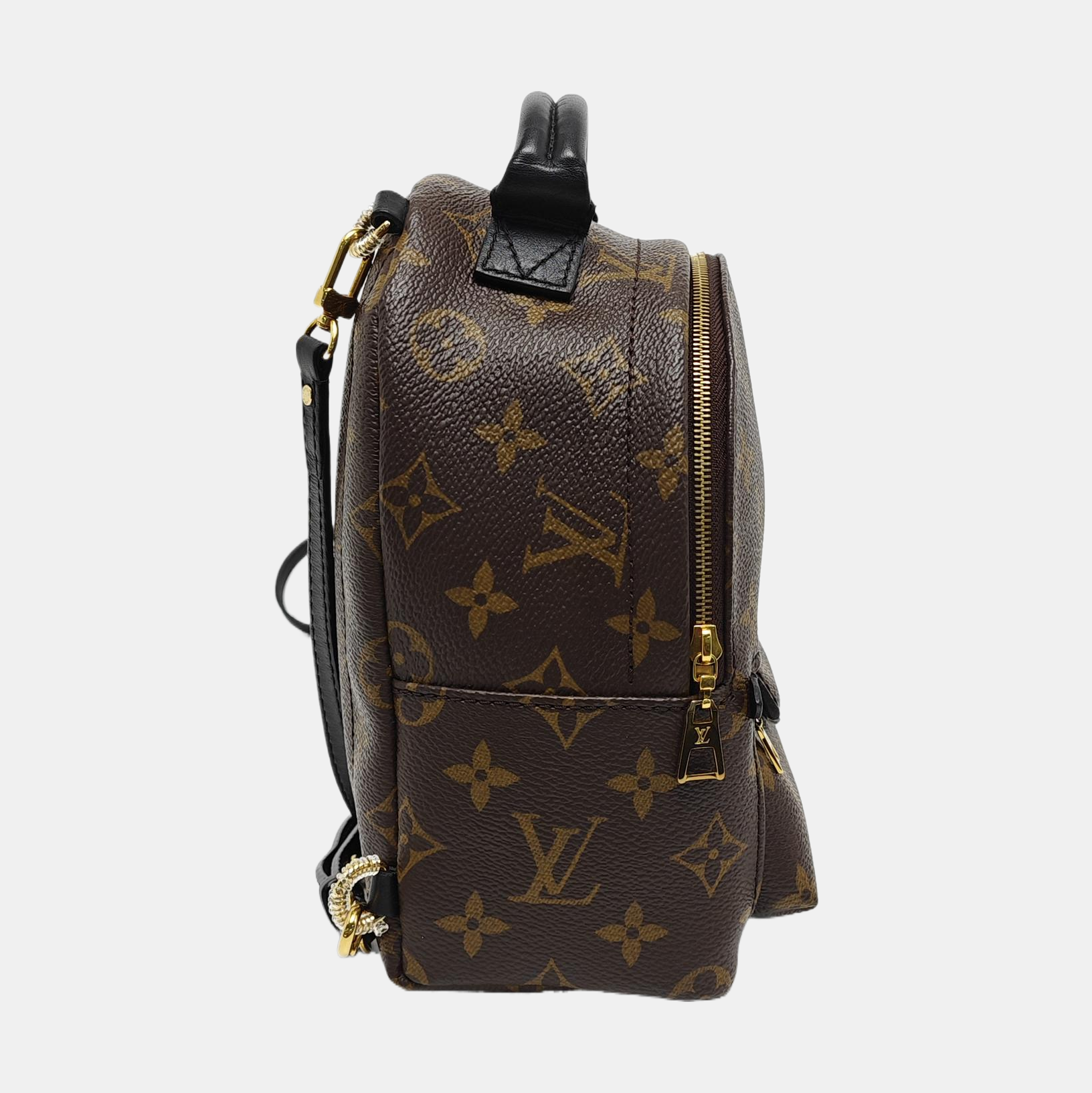 PALM SPRINGS Mini Monogram Coated Canvas Brown