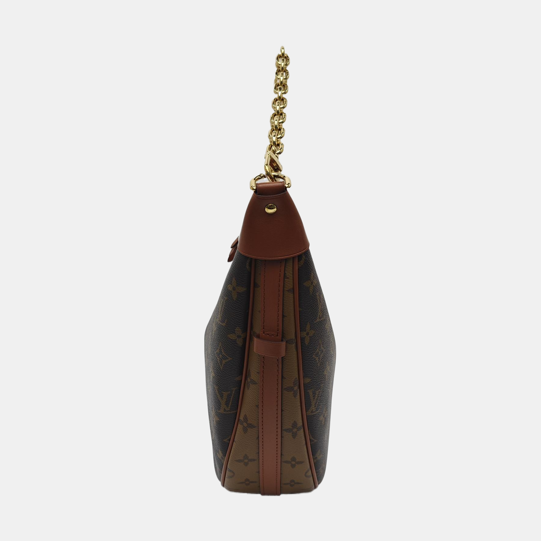 LOOP HOBO Monogram Coated Canvas Brown