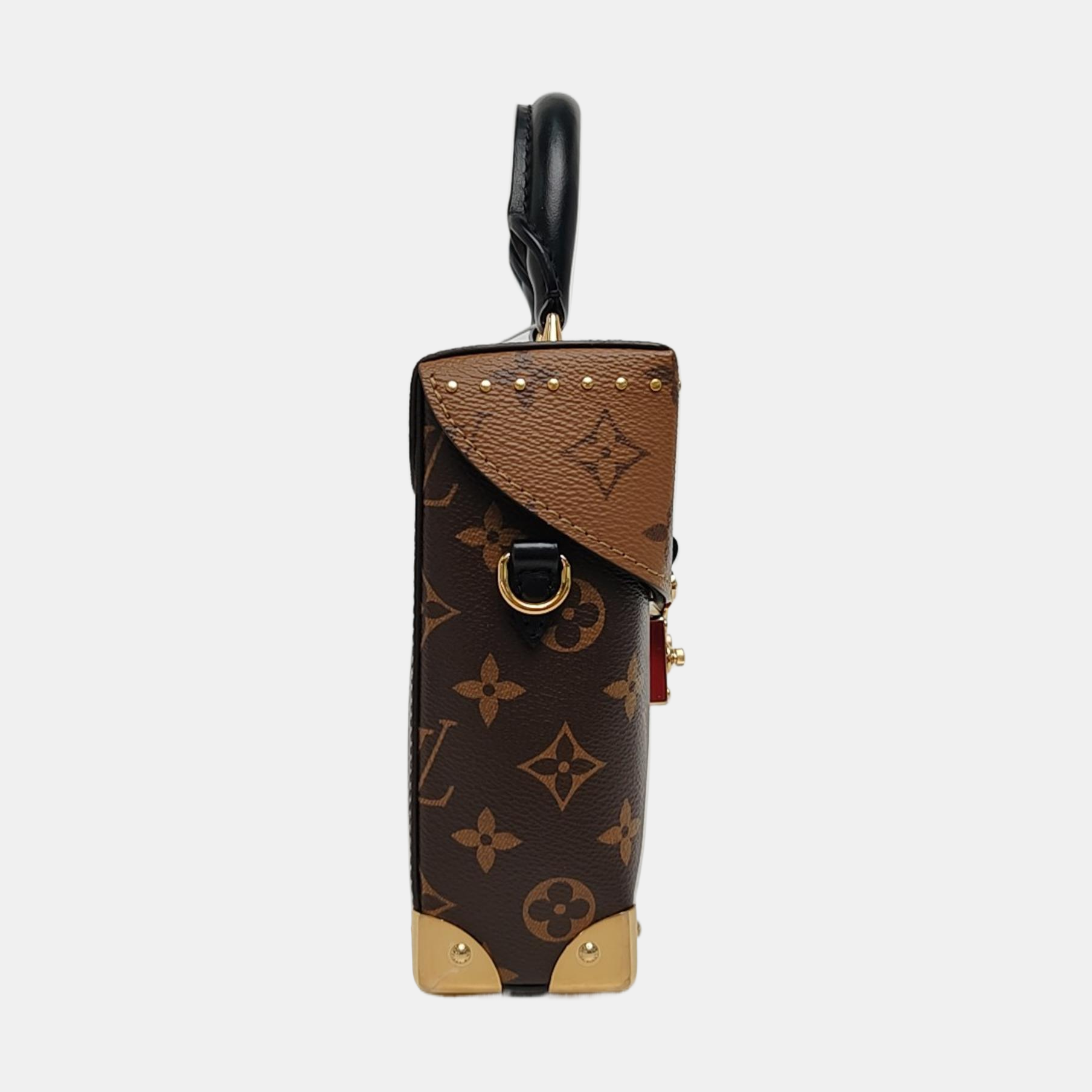 CAMERA BOX Monogram Coated Canvas Brown