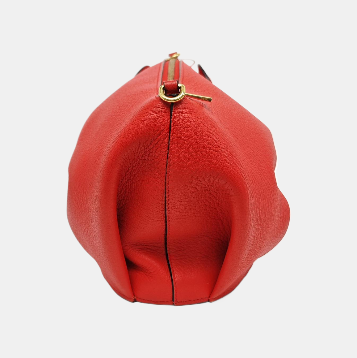 Animals Calfskin Red