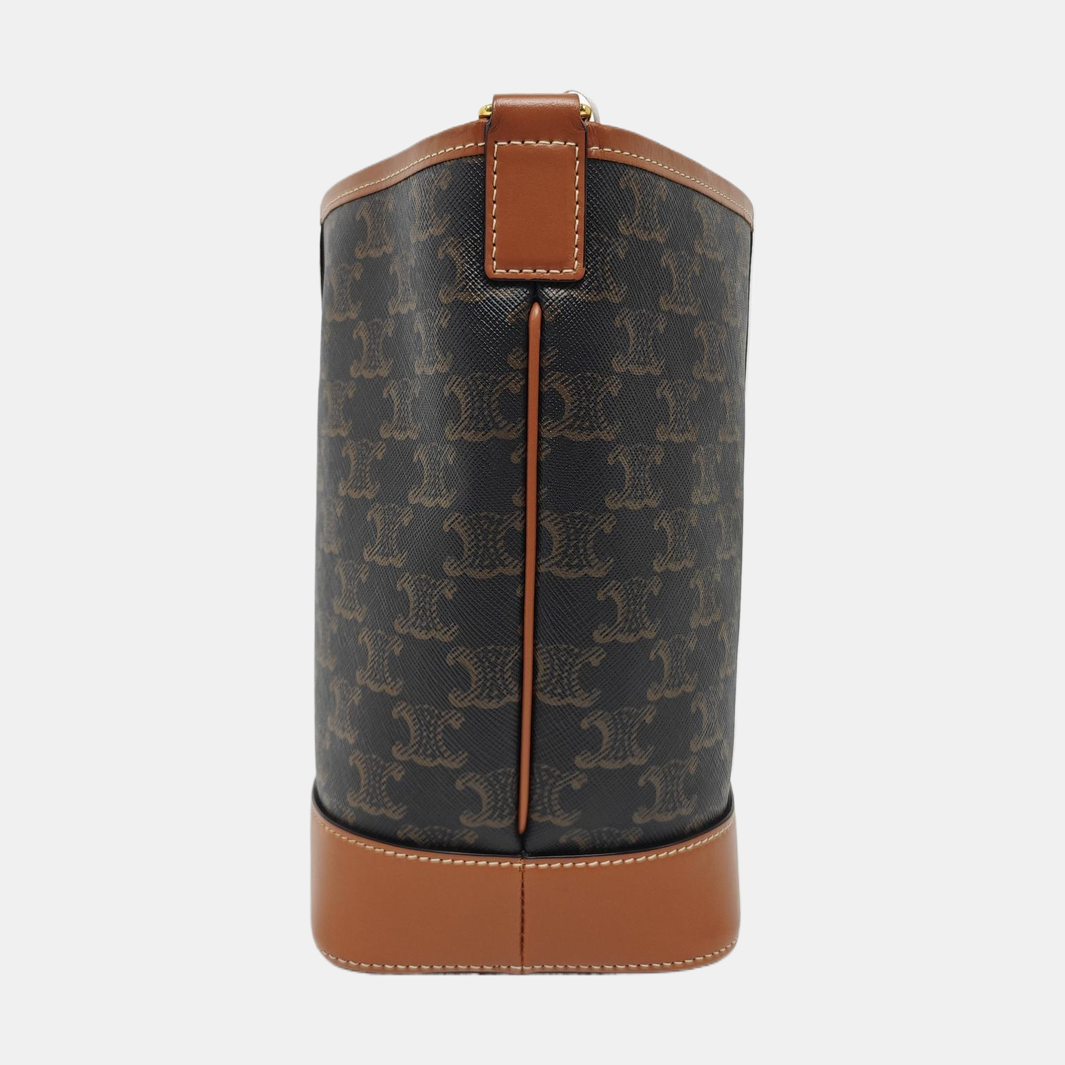 TRIOMPHE CANVAS Small Coated Canvas Brown