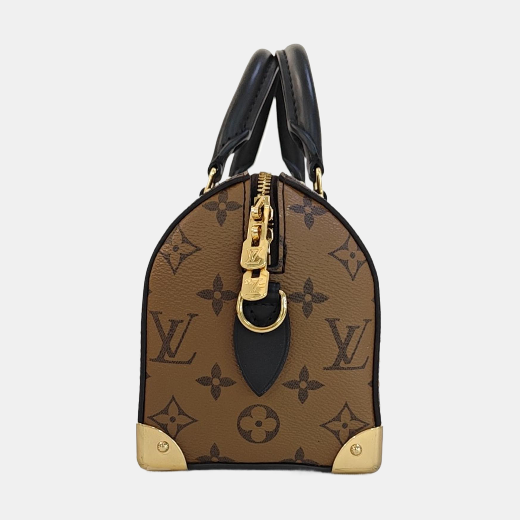 SPEEDY TRUNK 20 Monogram Coated Canvas Brown