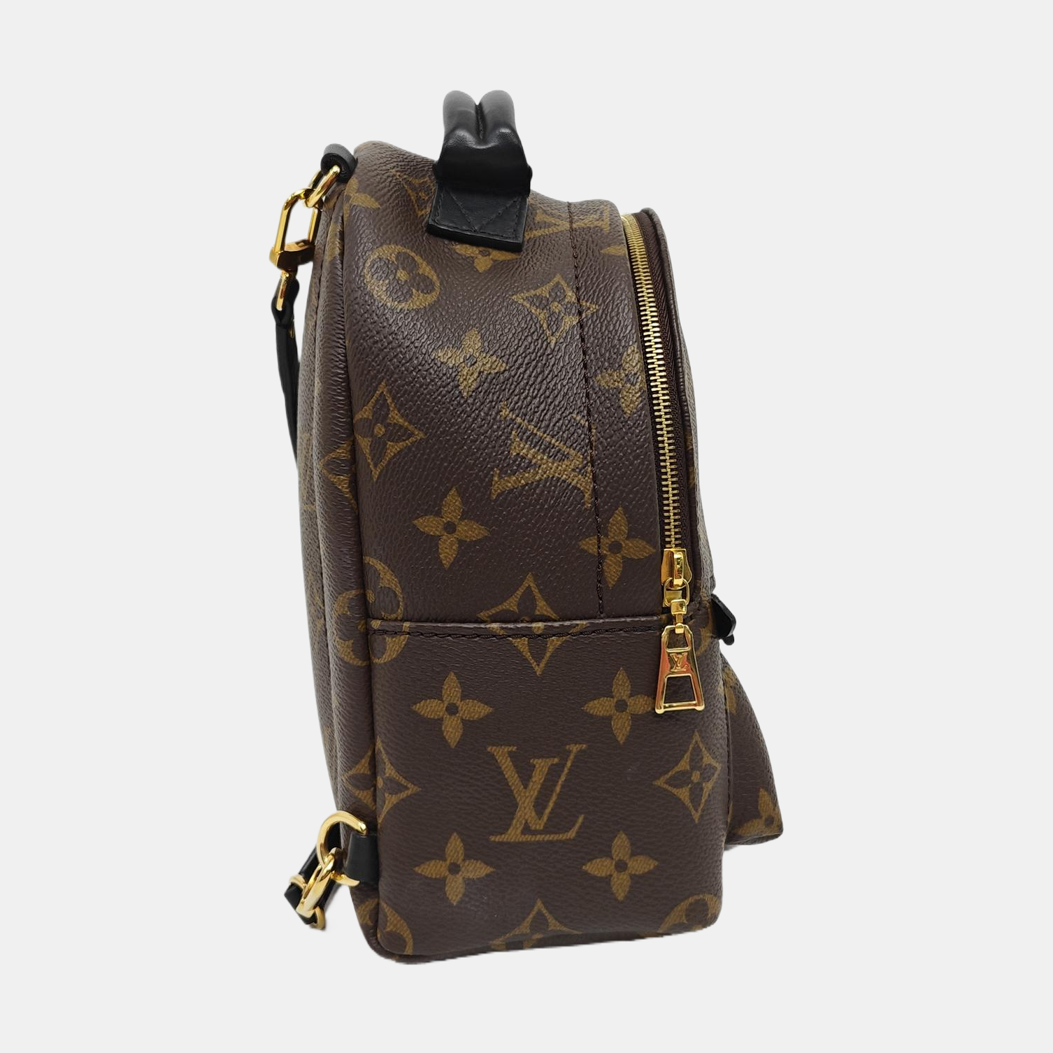 PALM SPRINGS Mini Monogram Coated Canvas Brown