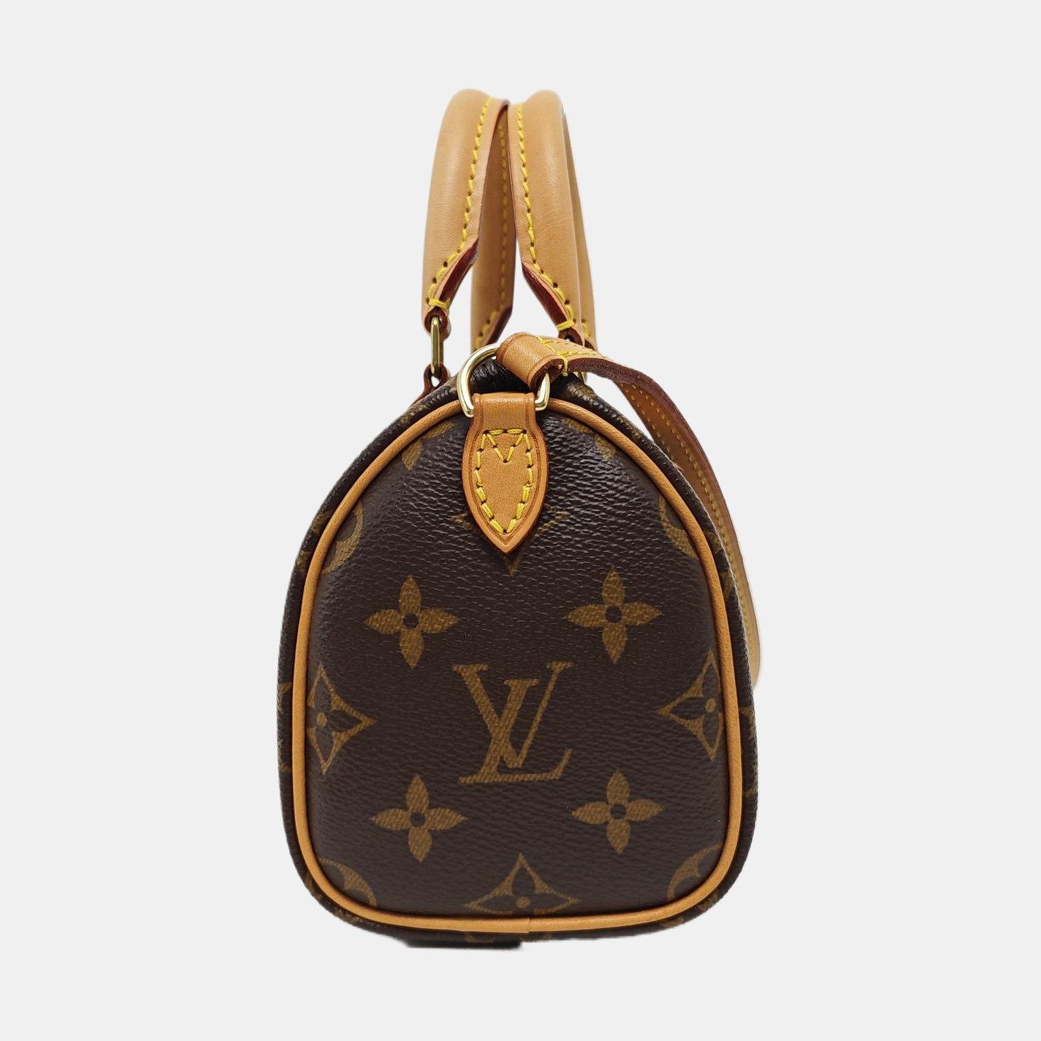 SPEEDY Nano Monogram Coated Canvas Brown