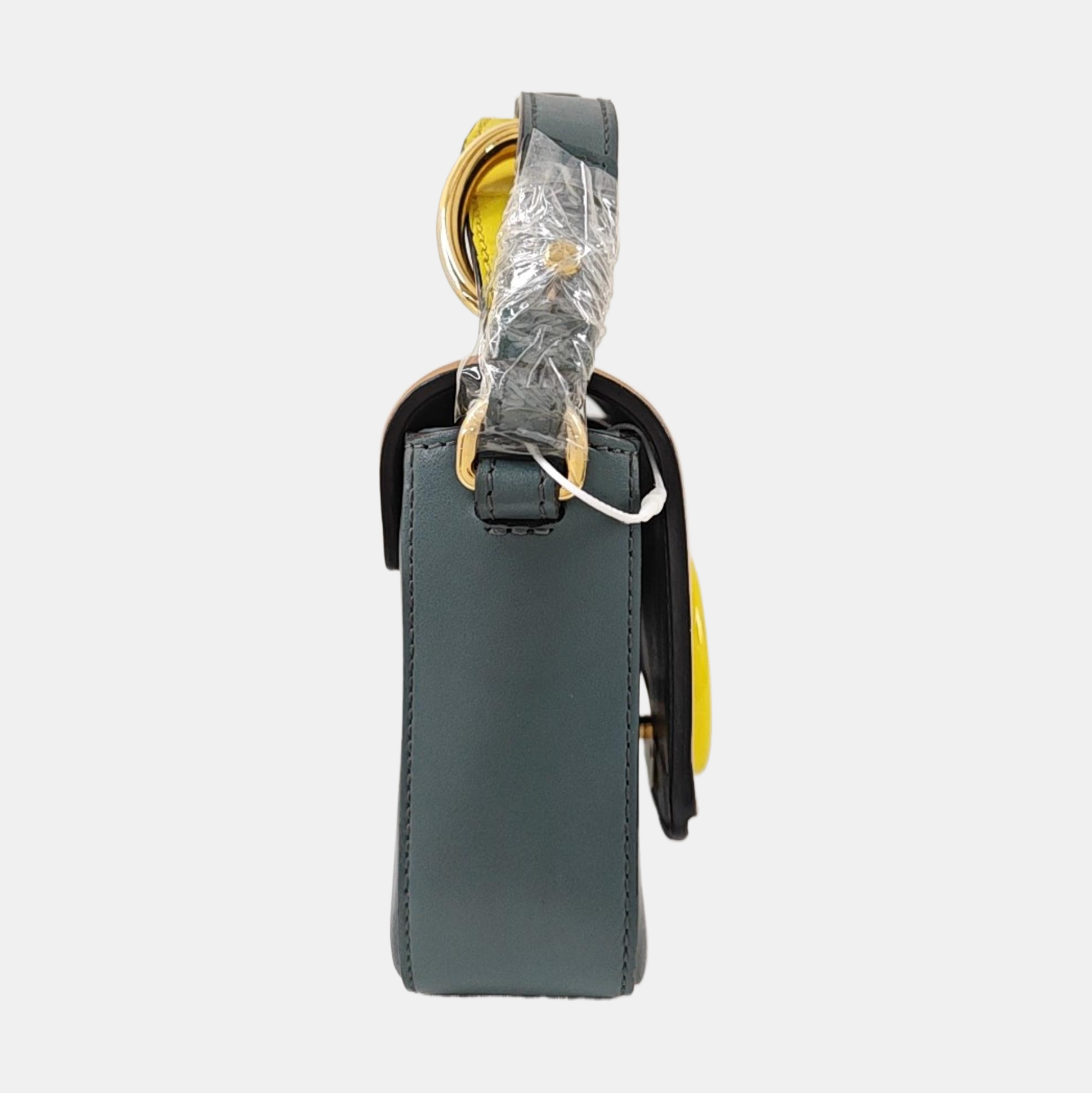 Chloé C Calfskin Multicolor