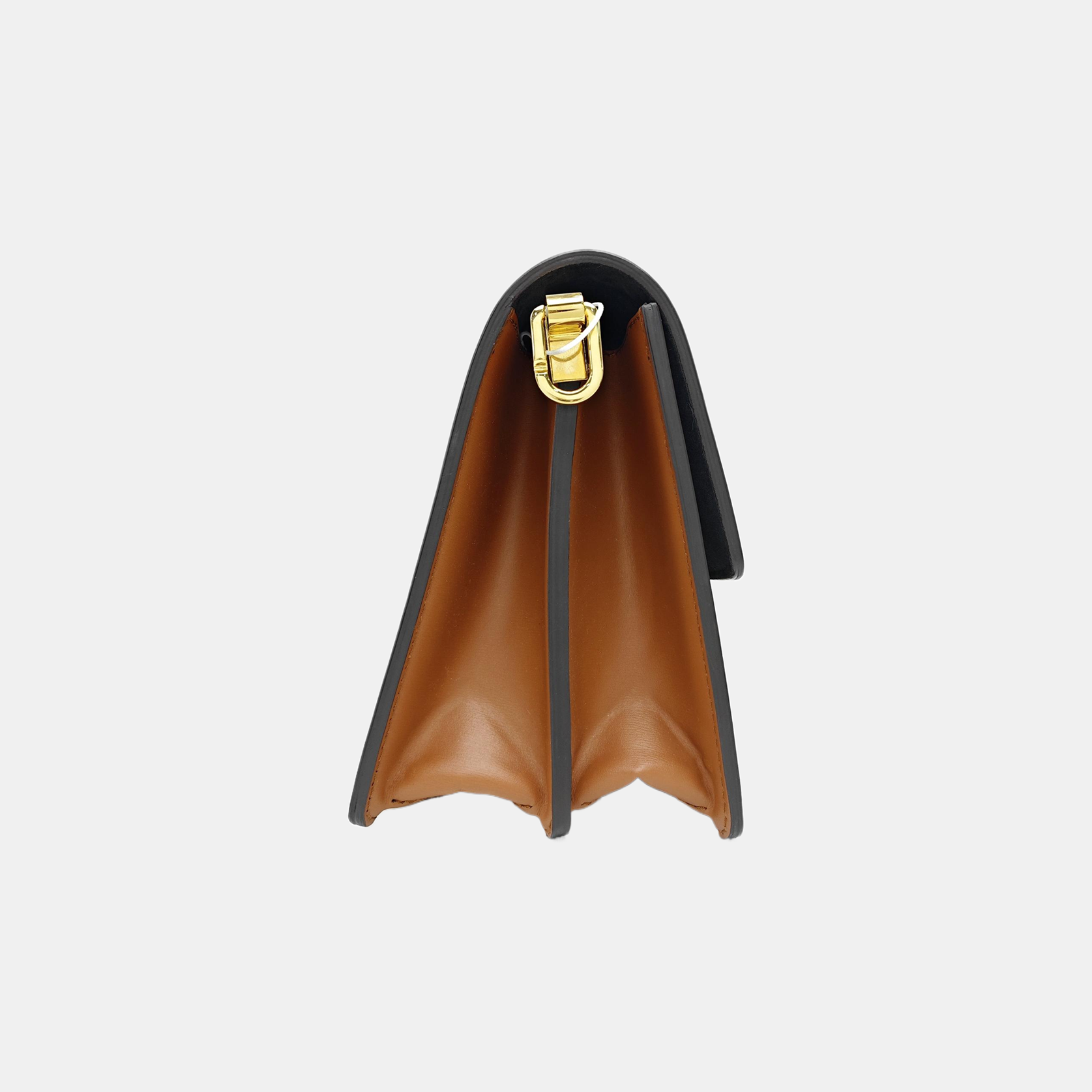 DAUPHINE MM Monogram Coated Canvas Brown