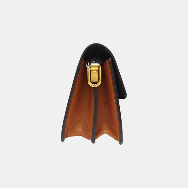 DAUPHINE Mini Monogram Coated Canvas Brown