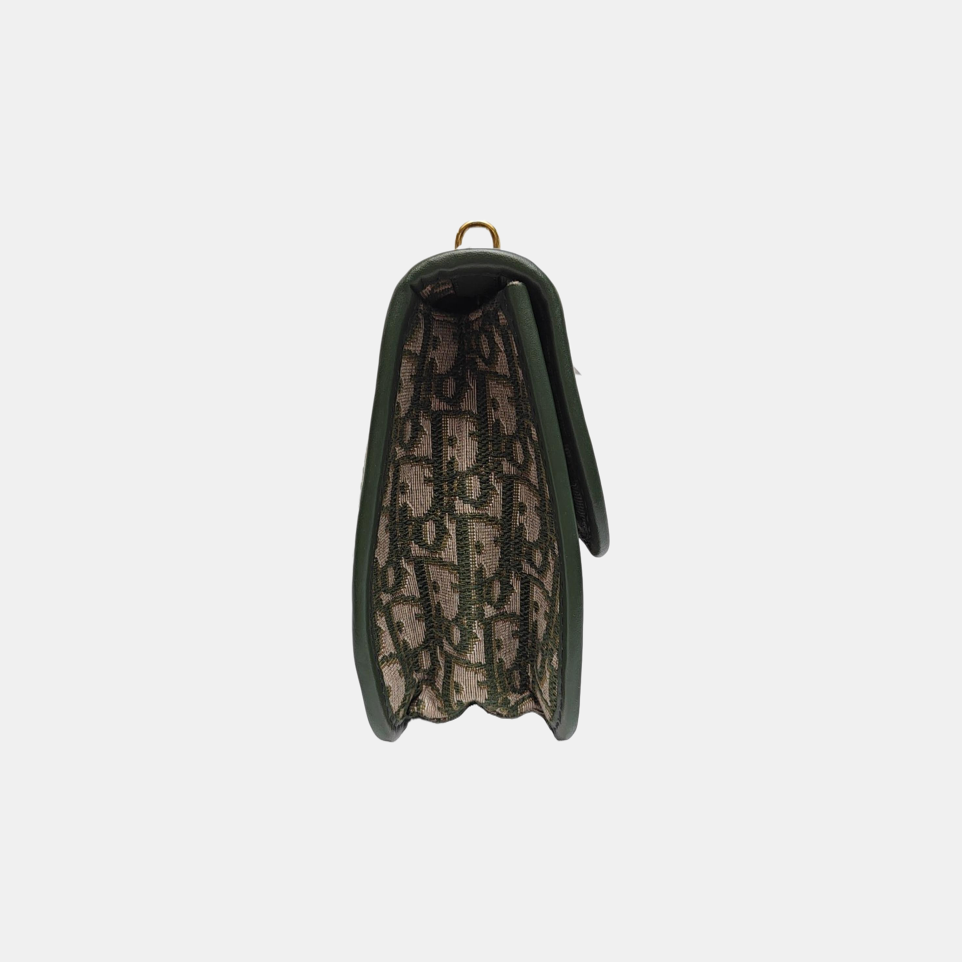Dioraddict Oblique Canvas Green