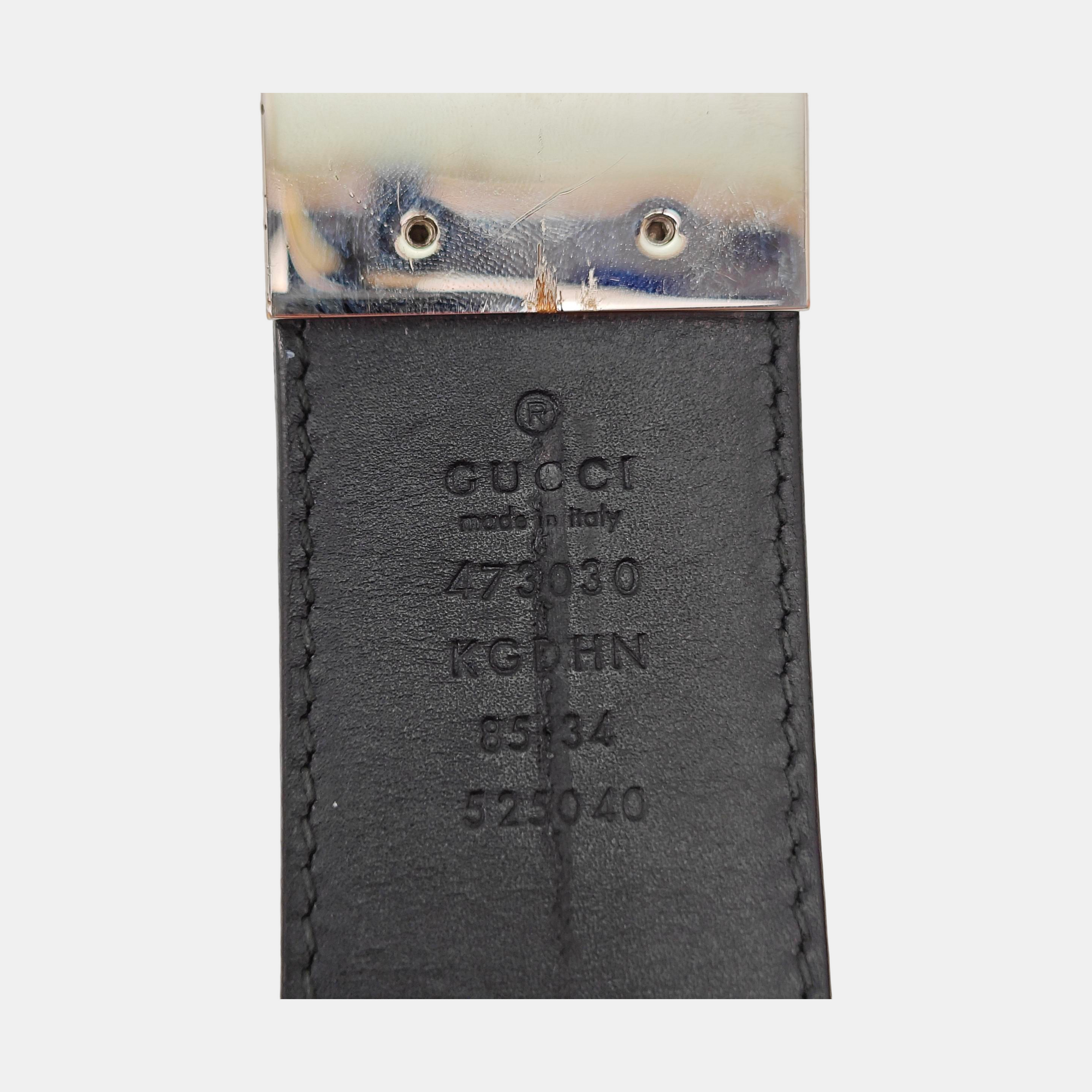 Coated Canvas Belt Beige