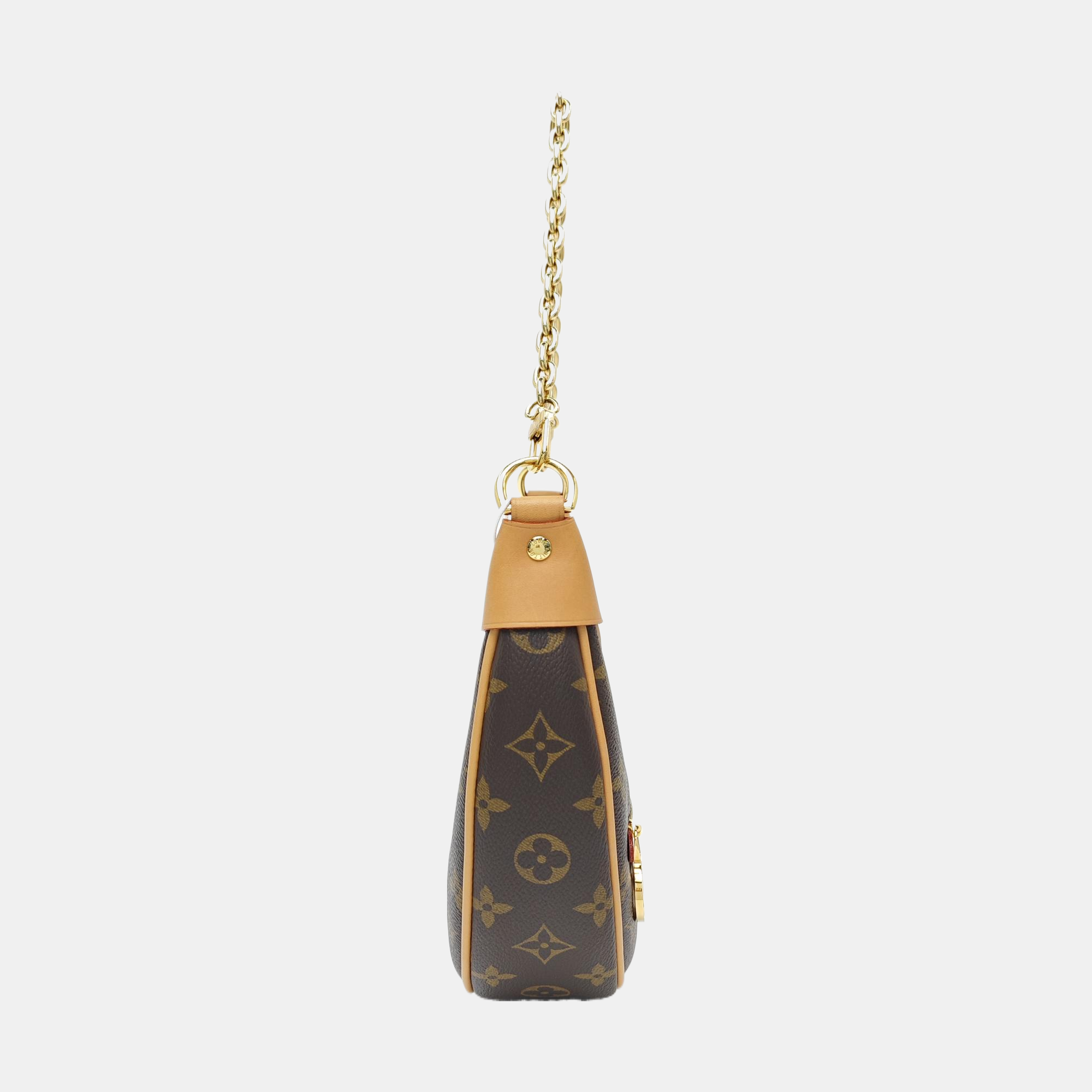 LOOP Monogram Coated Canvas Brown