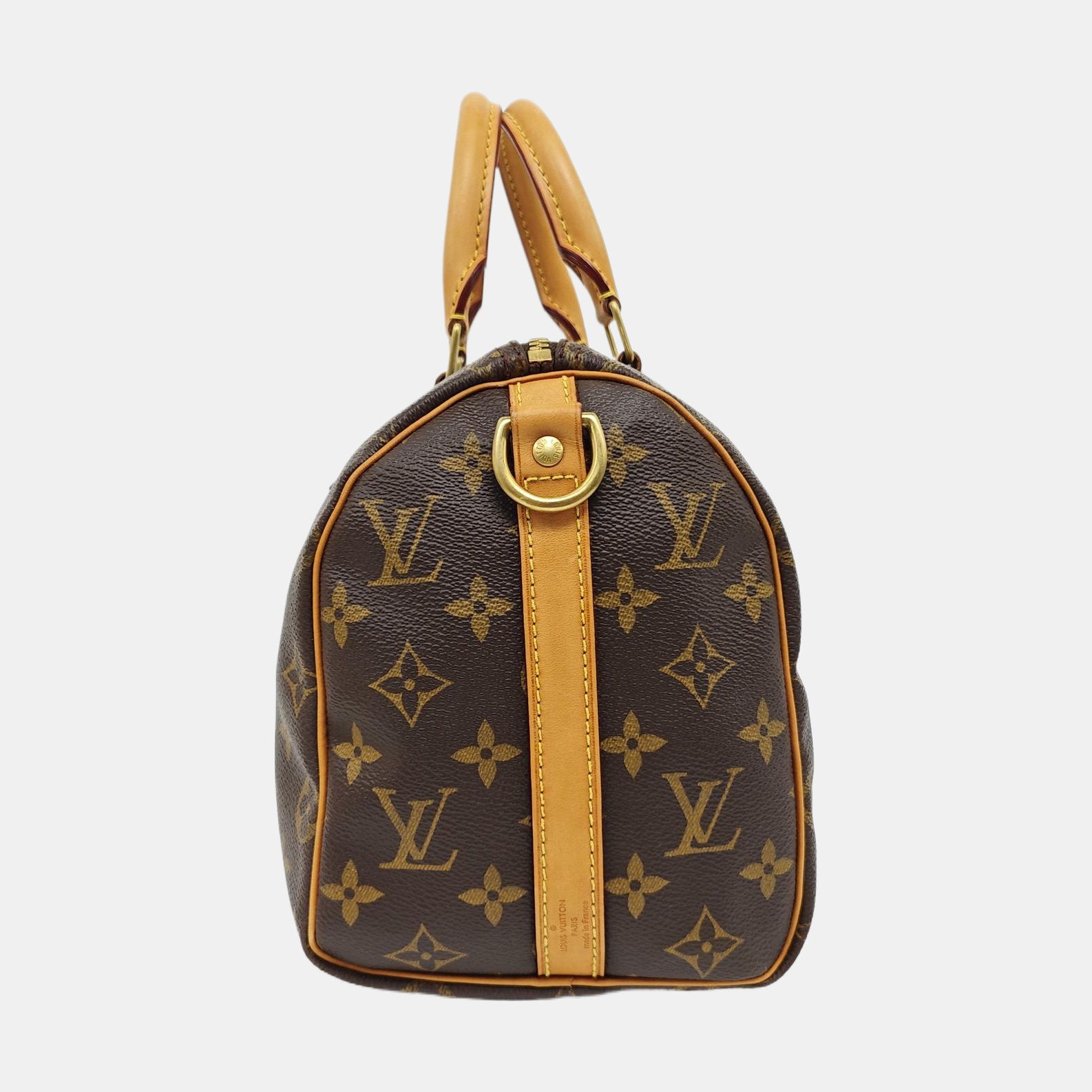 SPEEDY 25 Monogram Coated Canvas Brown